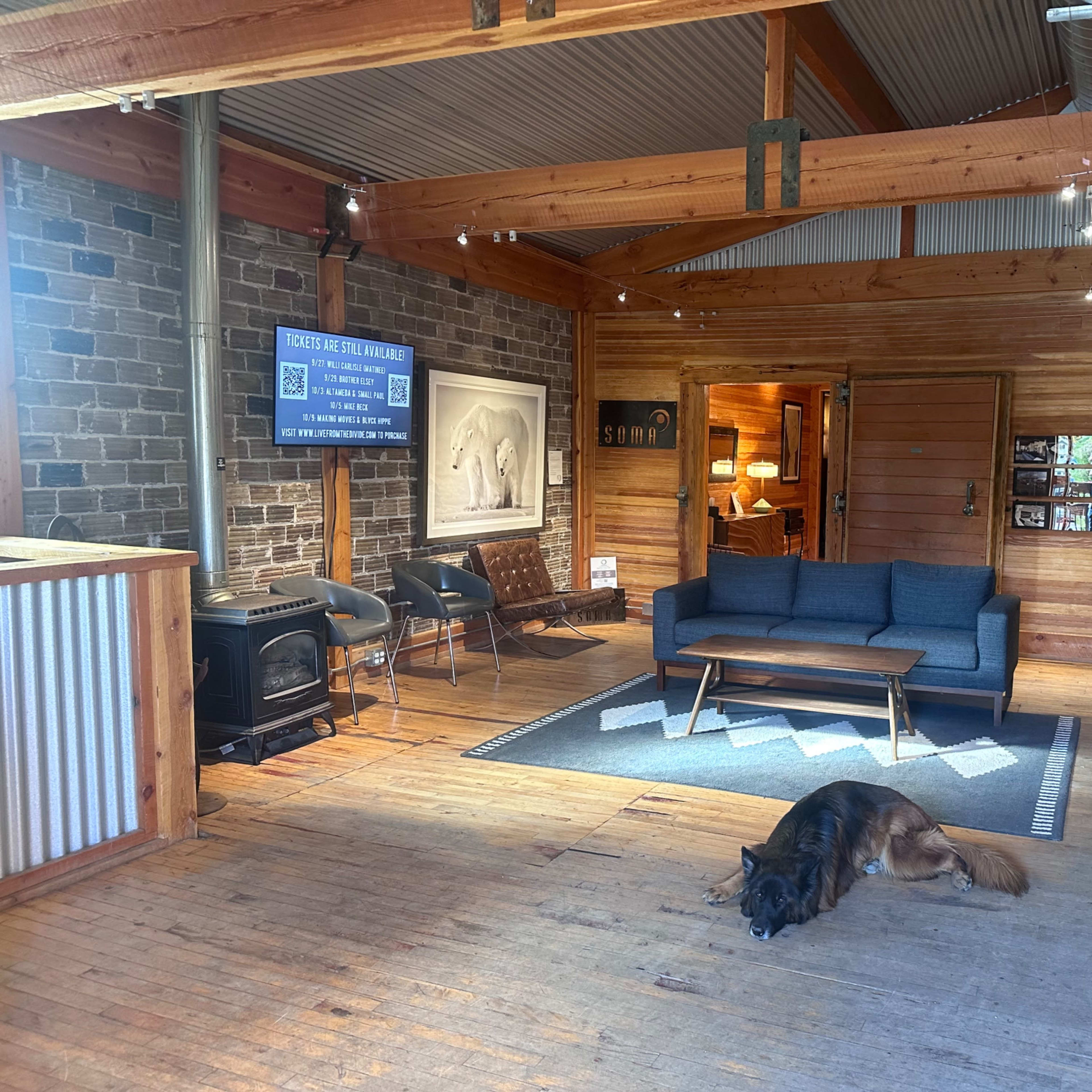 The interior of a wooden cabin features a seating area with a couch, a flat-screen TV, and a dog resting on the floor.