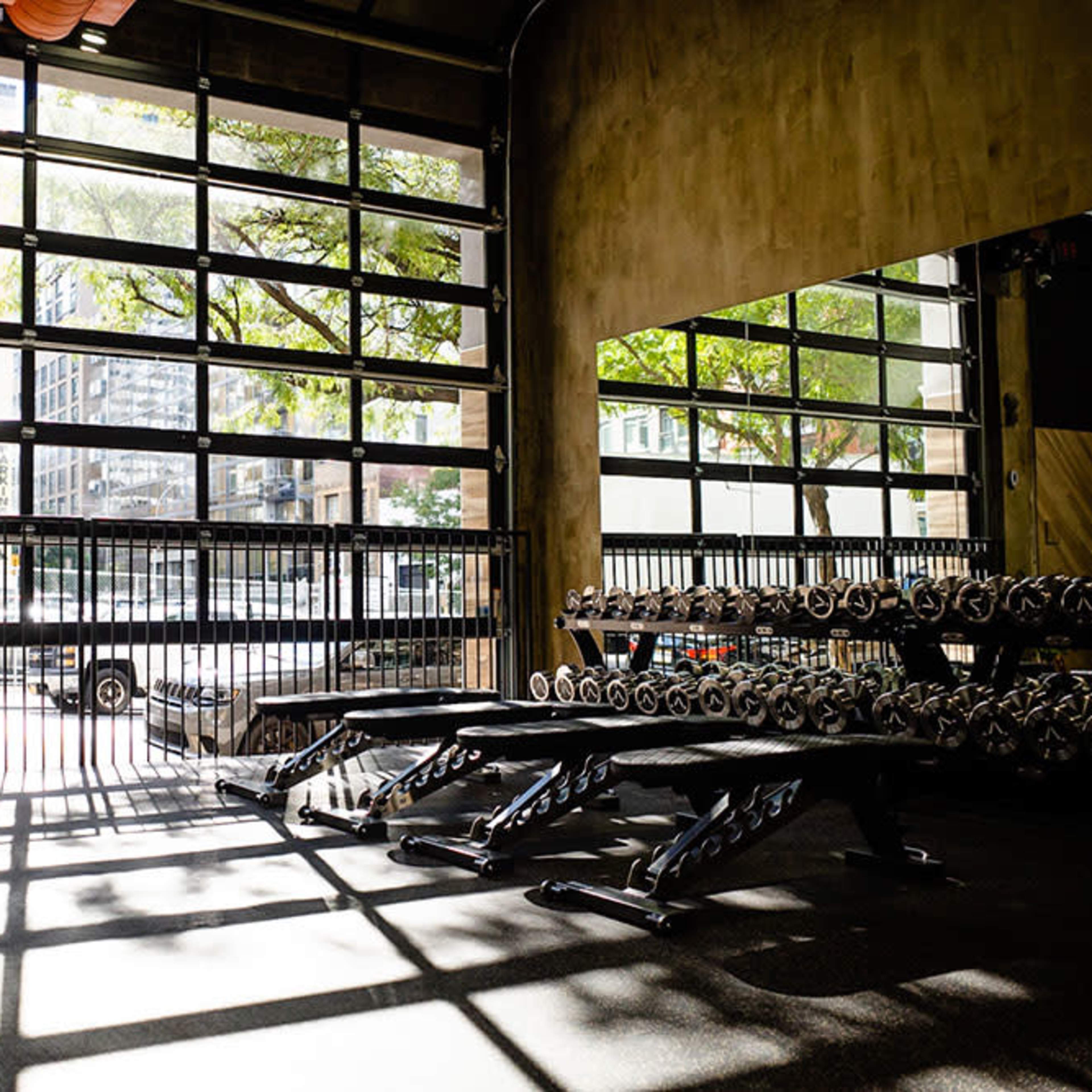A gym interior featuring weight benches and dumbbells, with large windows allowing natural light to enter and cast shadows on the floor.