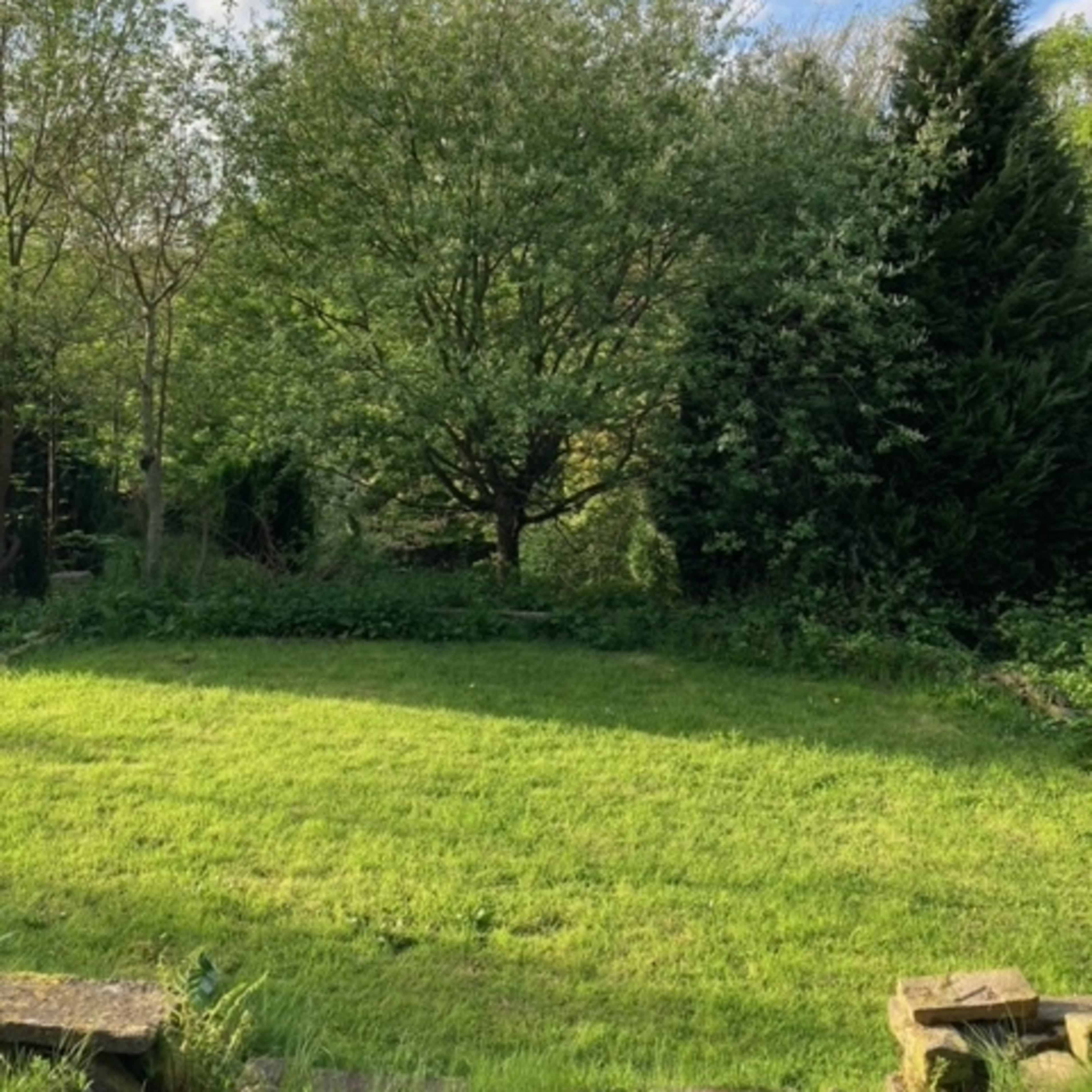 A grassy area with several trees under a partly cloudy sky.