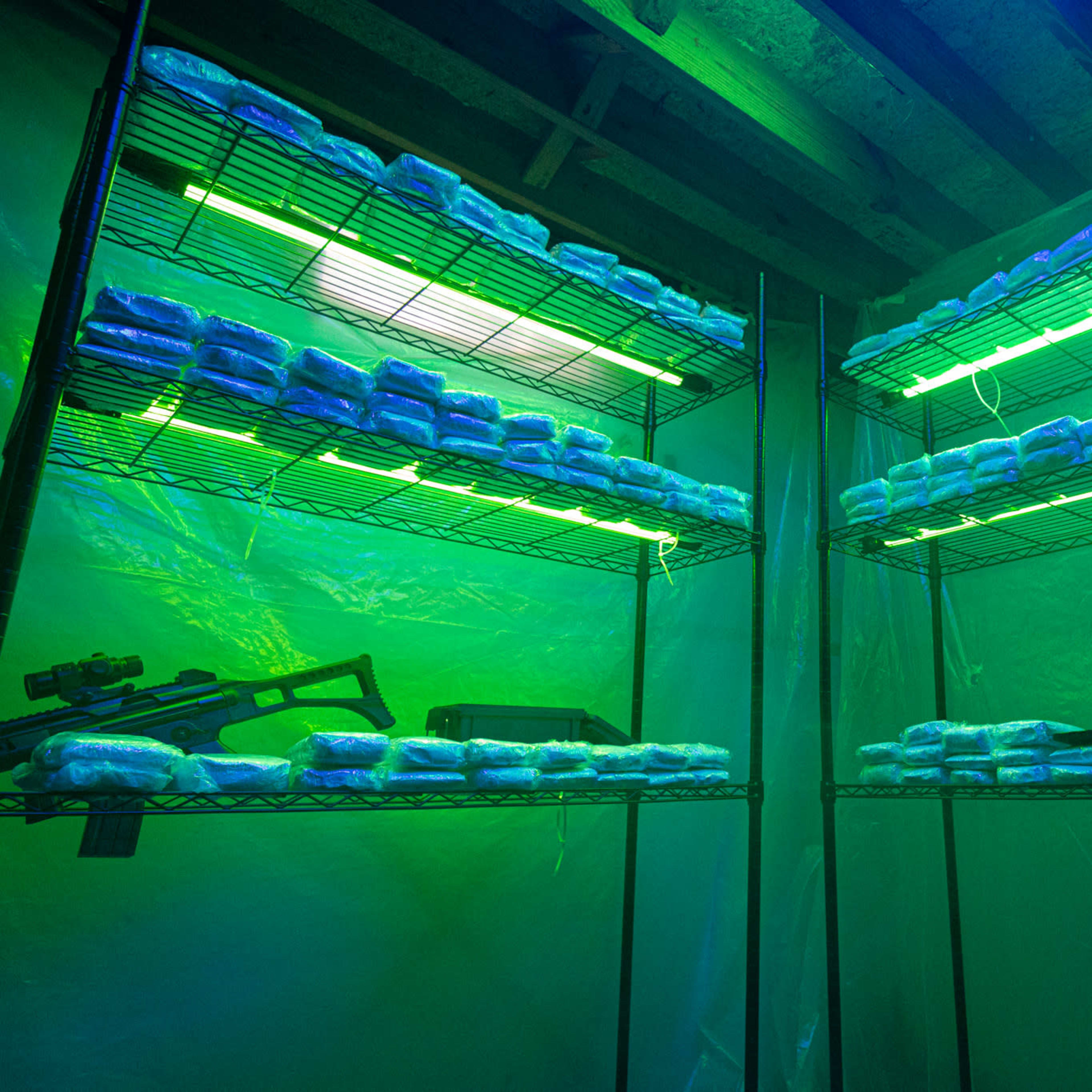 Shelves filled with sealed packages under green lighting in a dimly lit storage area.