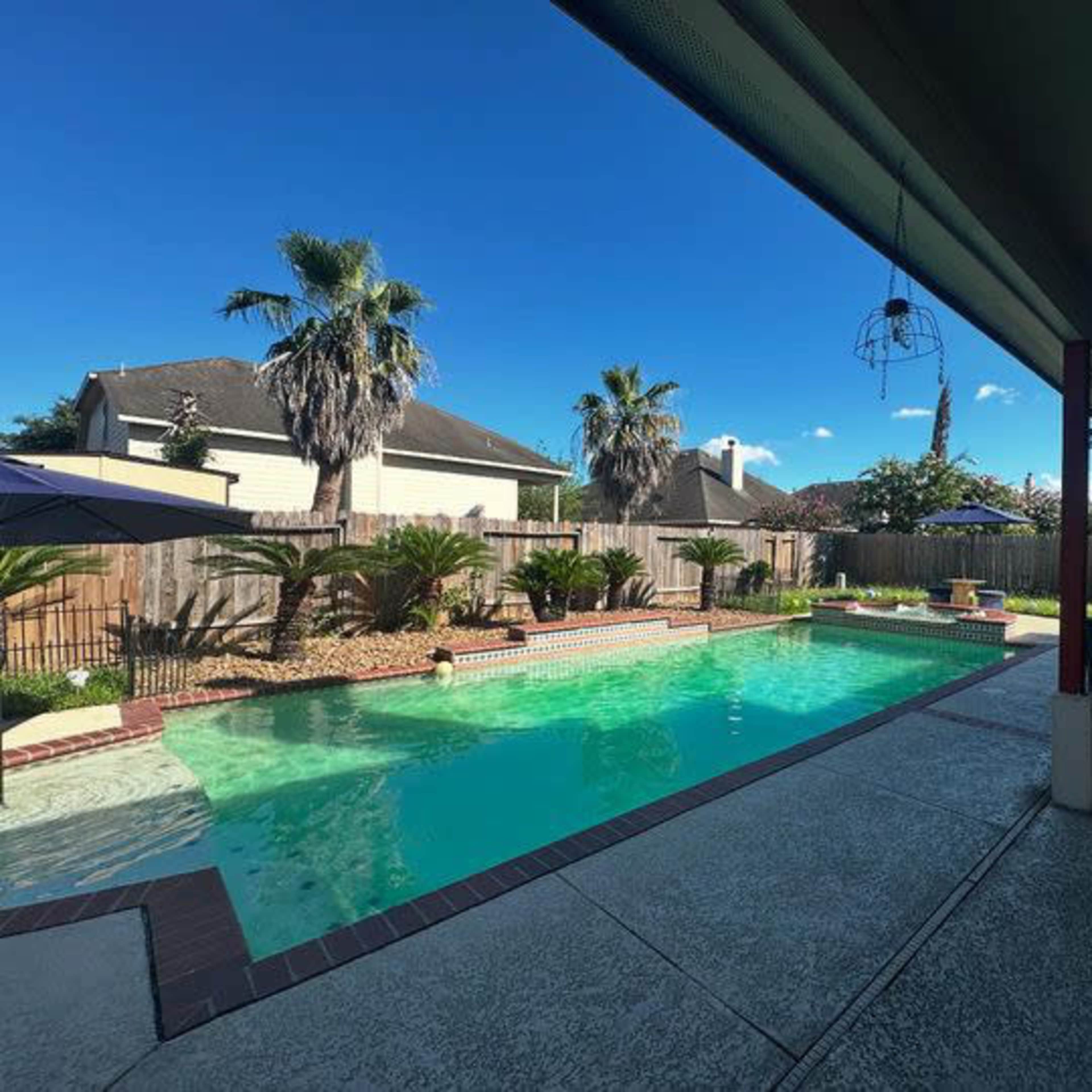 A swimming pool surrounded by palm trees and residential houses, with lounge chairs and umbrellas nearby.