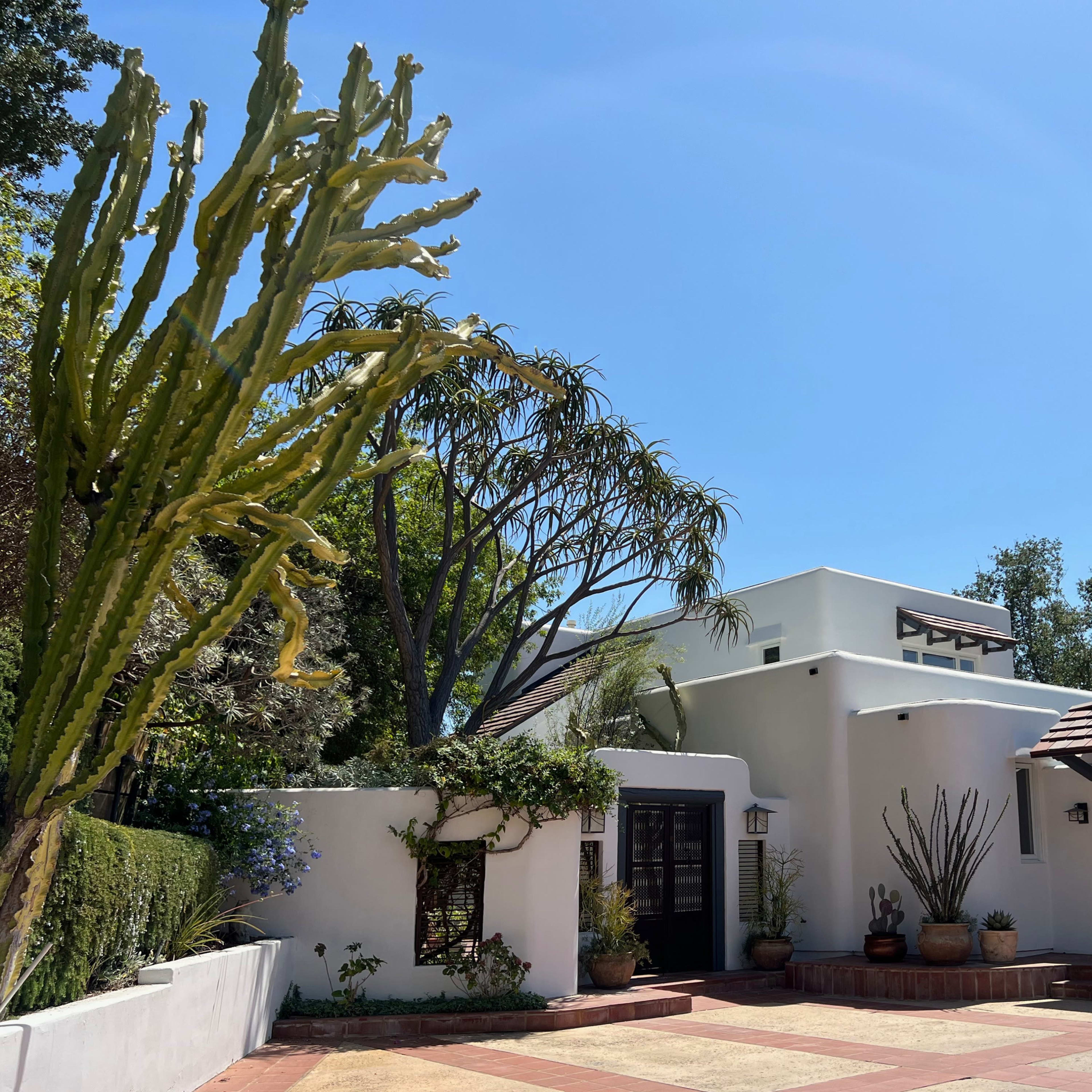 A white stucco house with a tiled roof is surrounded by various plants and trees under a clear blue sky.