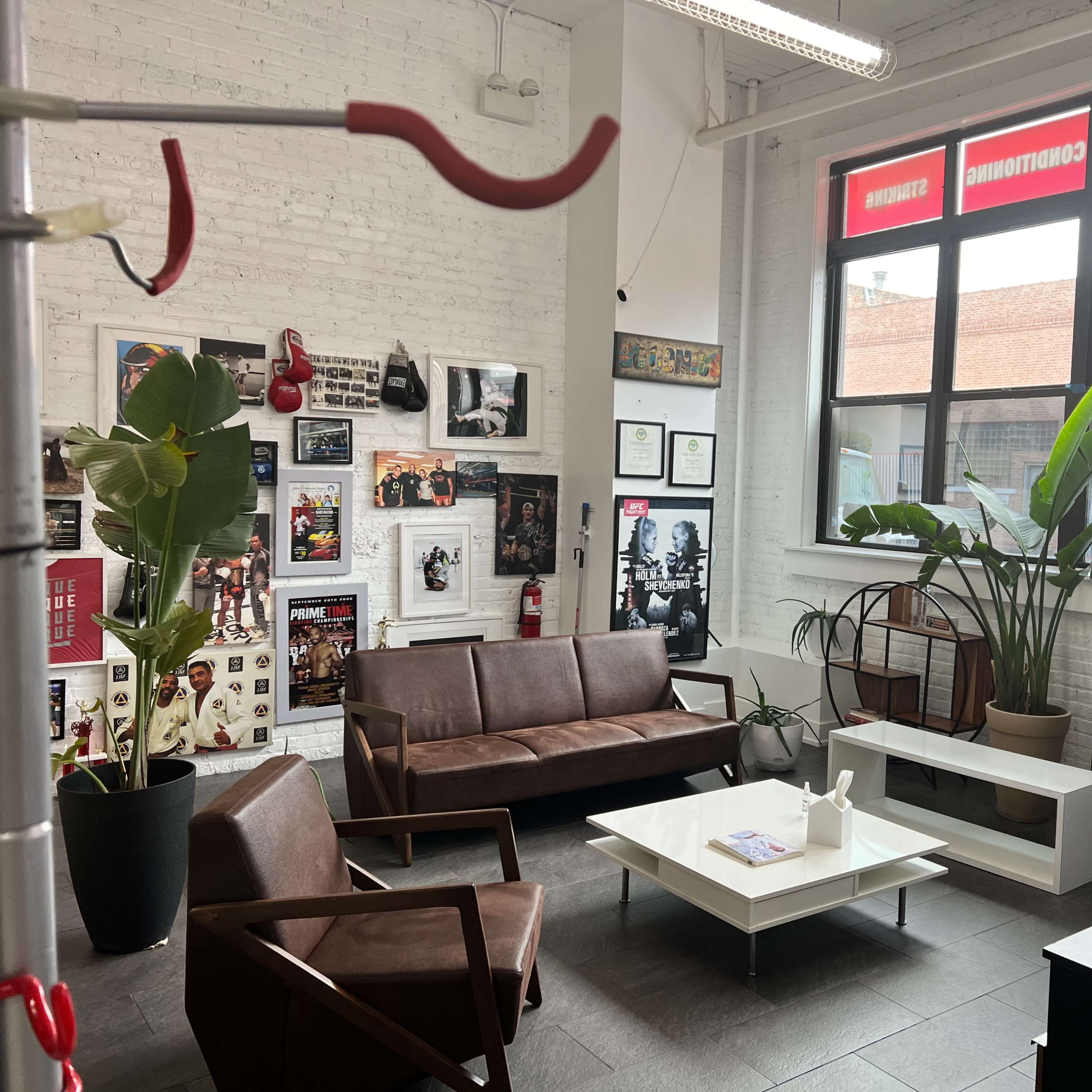 A modern waiting area featuring brown leather couches, a white coffee table, potted plants, and framed photographs on the walls, with large windows overlooking an outdoor space.