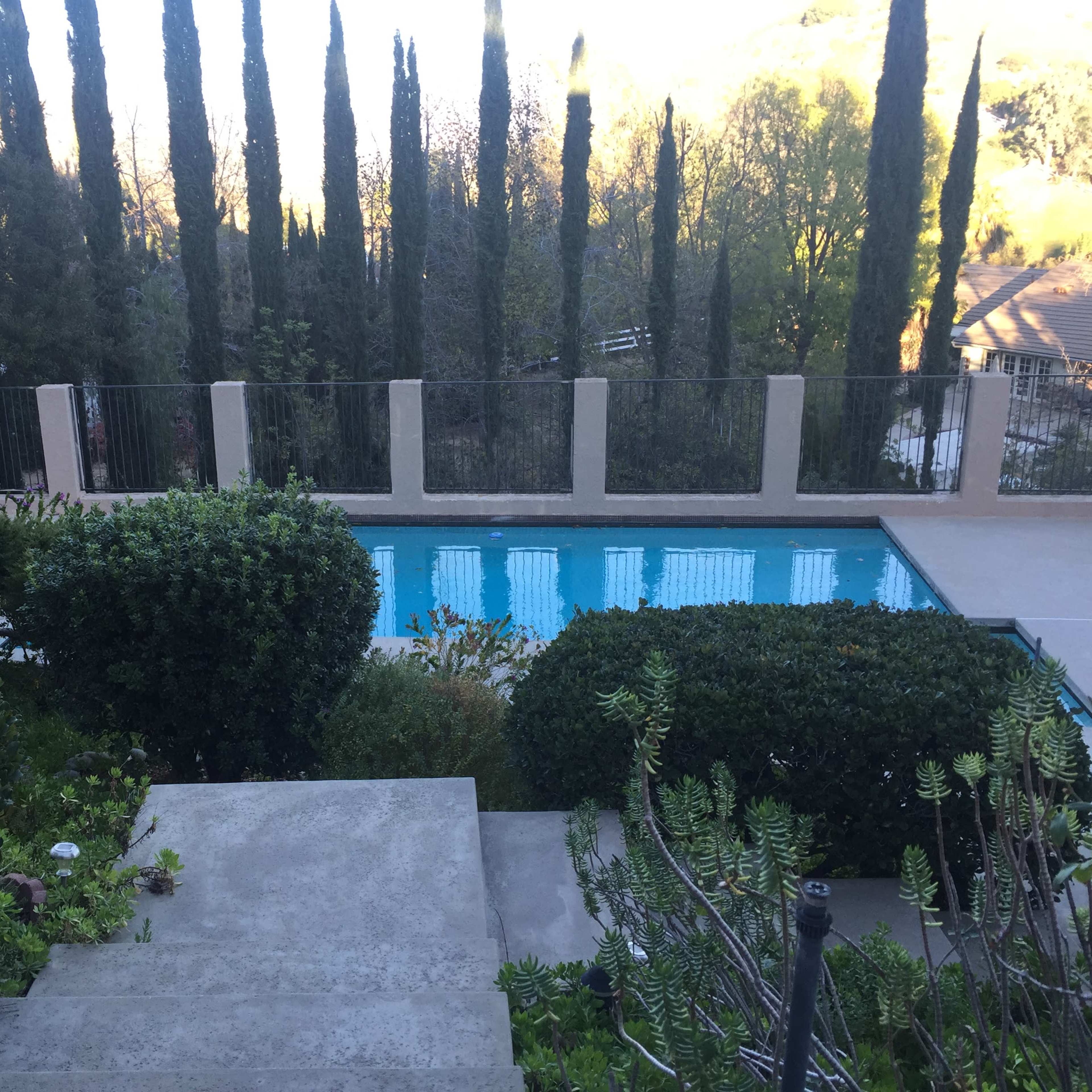 A set of stone steps leads down to a swimming pool surrounded by manicured greenery and tall coniferous trees in the background.