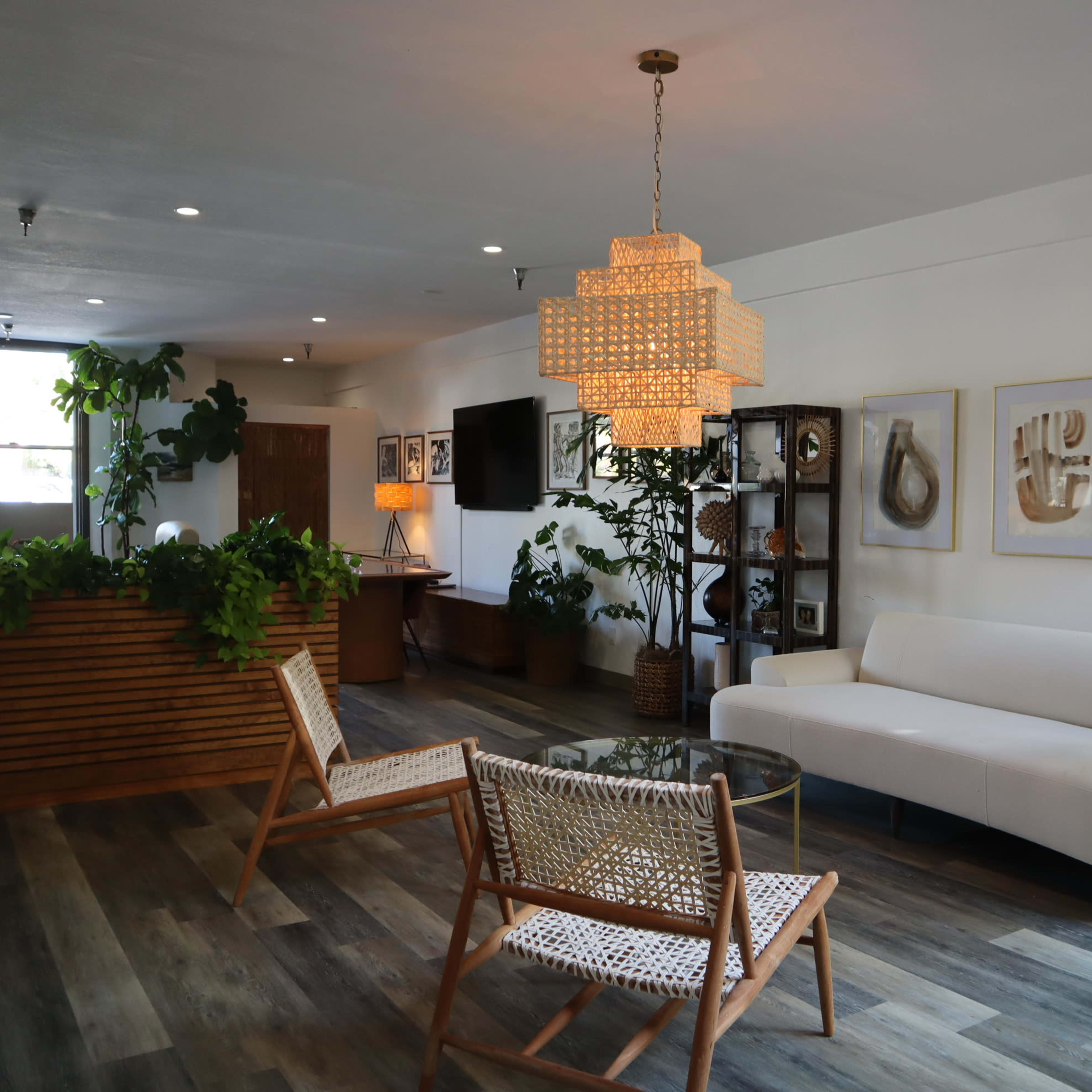 A modern reception area with a white sofa, wooden chairs, a round glass table, and various indoor plants.