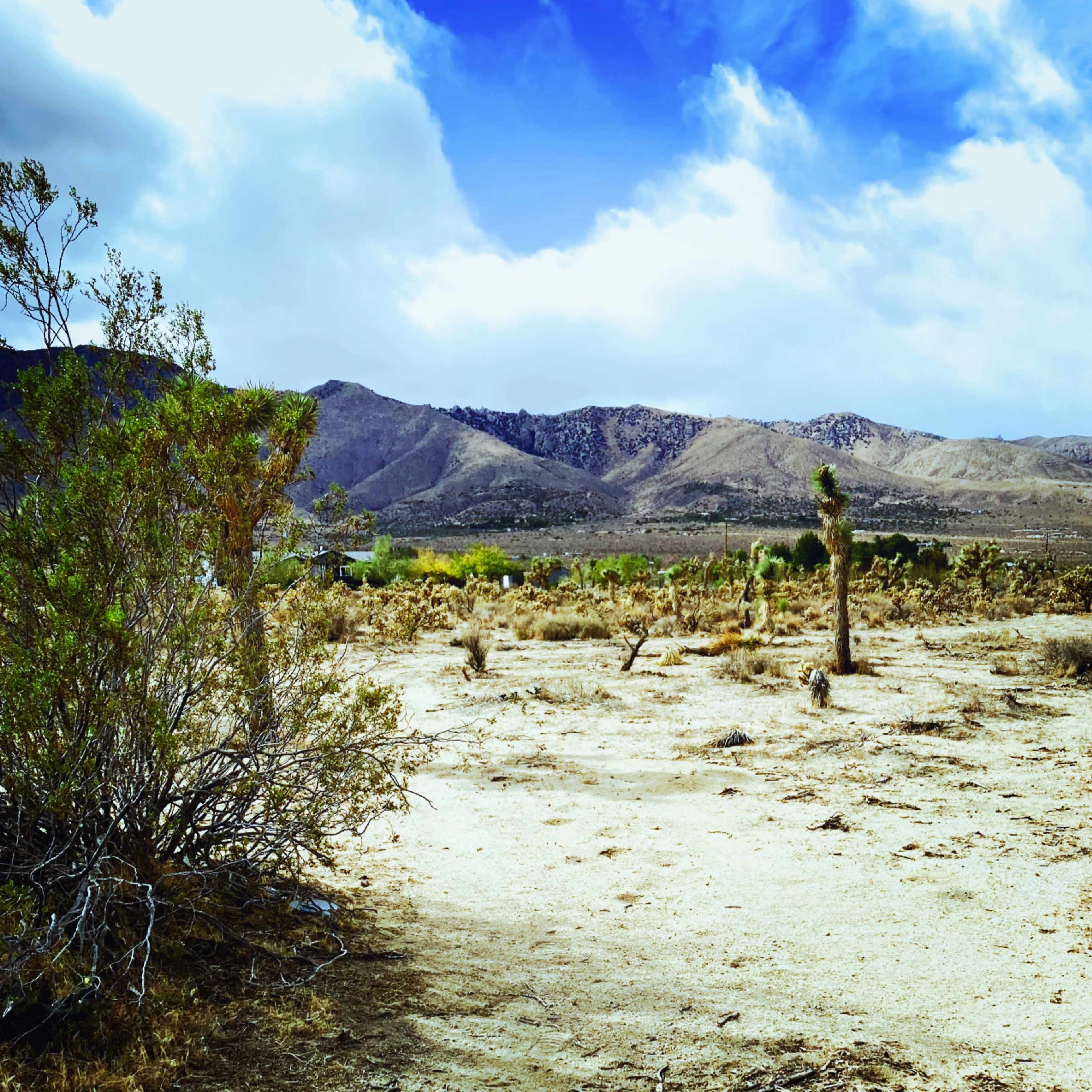 A barren desert landscape with sparse vegetation and distant mountains under a partly cloudy sky.
