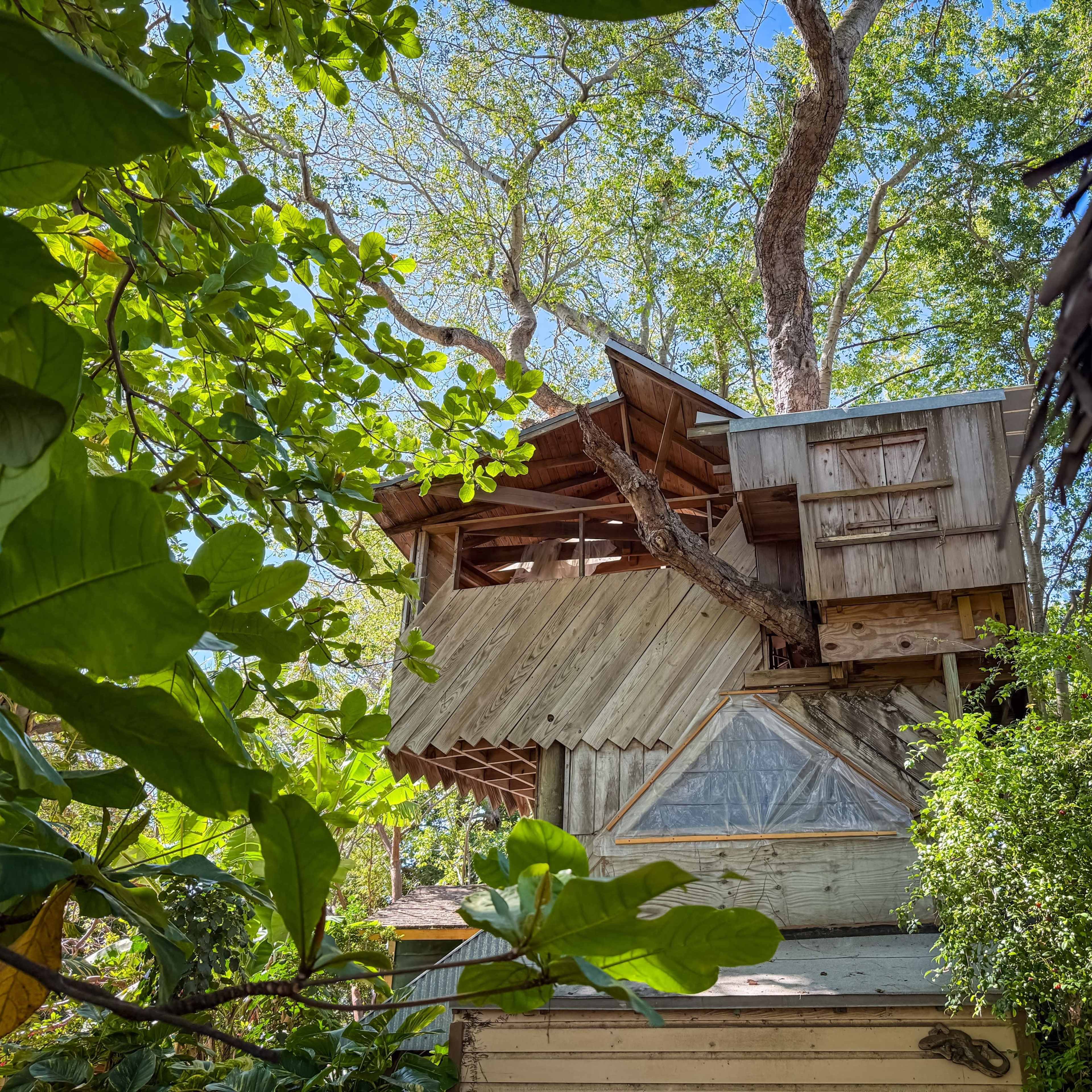 Nature-Filled Farm and Animal Sanctuary Shoot/ Event Location Image in Little River, Miami, FL