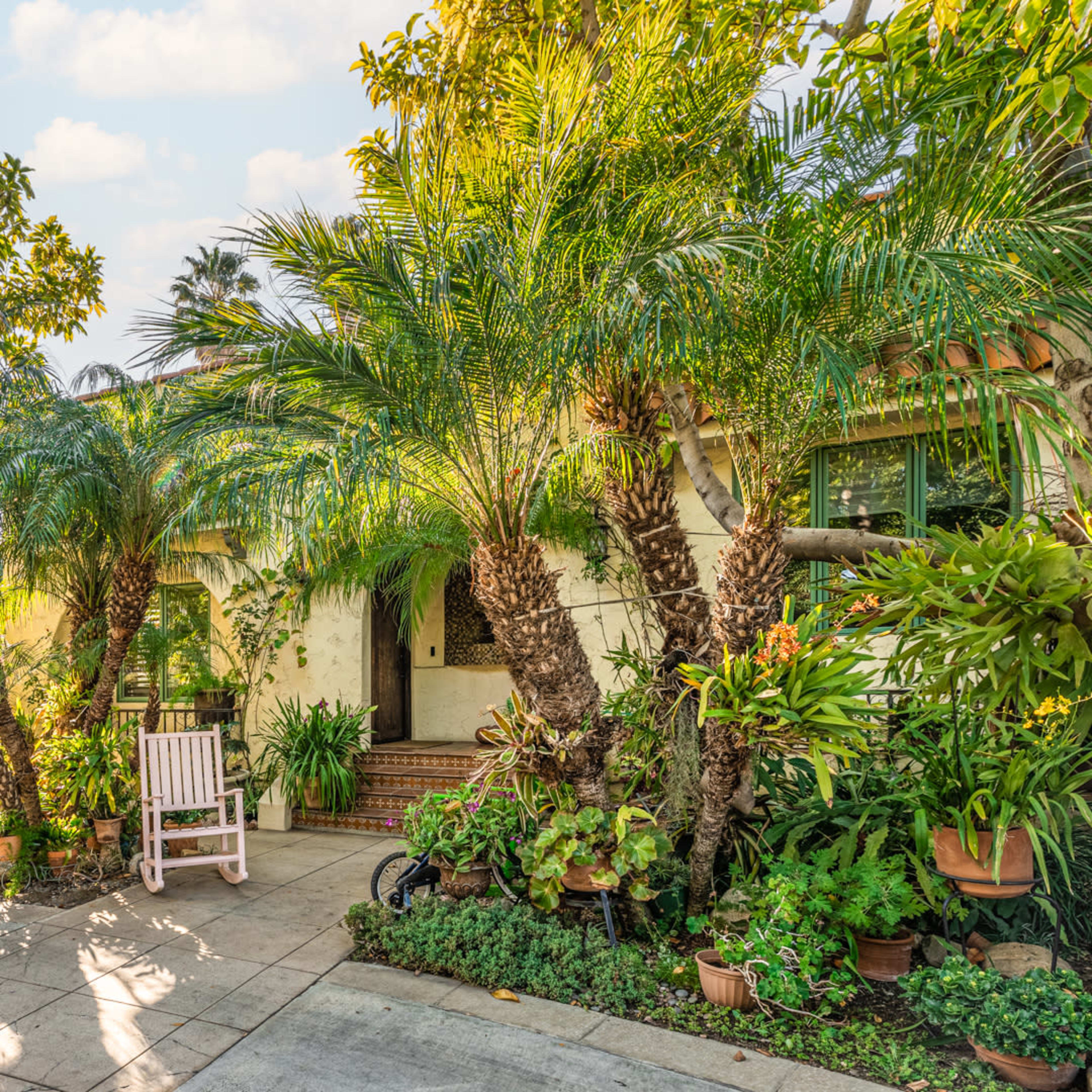 A courtyard features a white rocking chair surrounded by tropical plants and palm trees beside a concrete driveway.