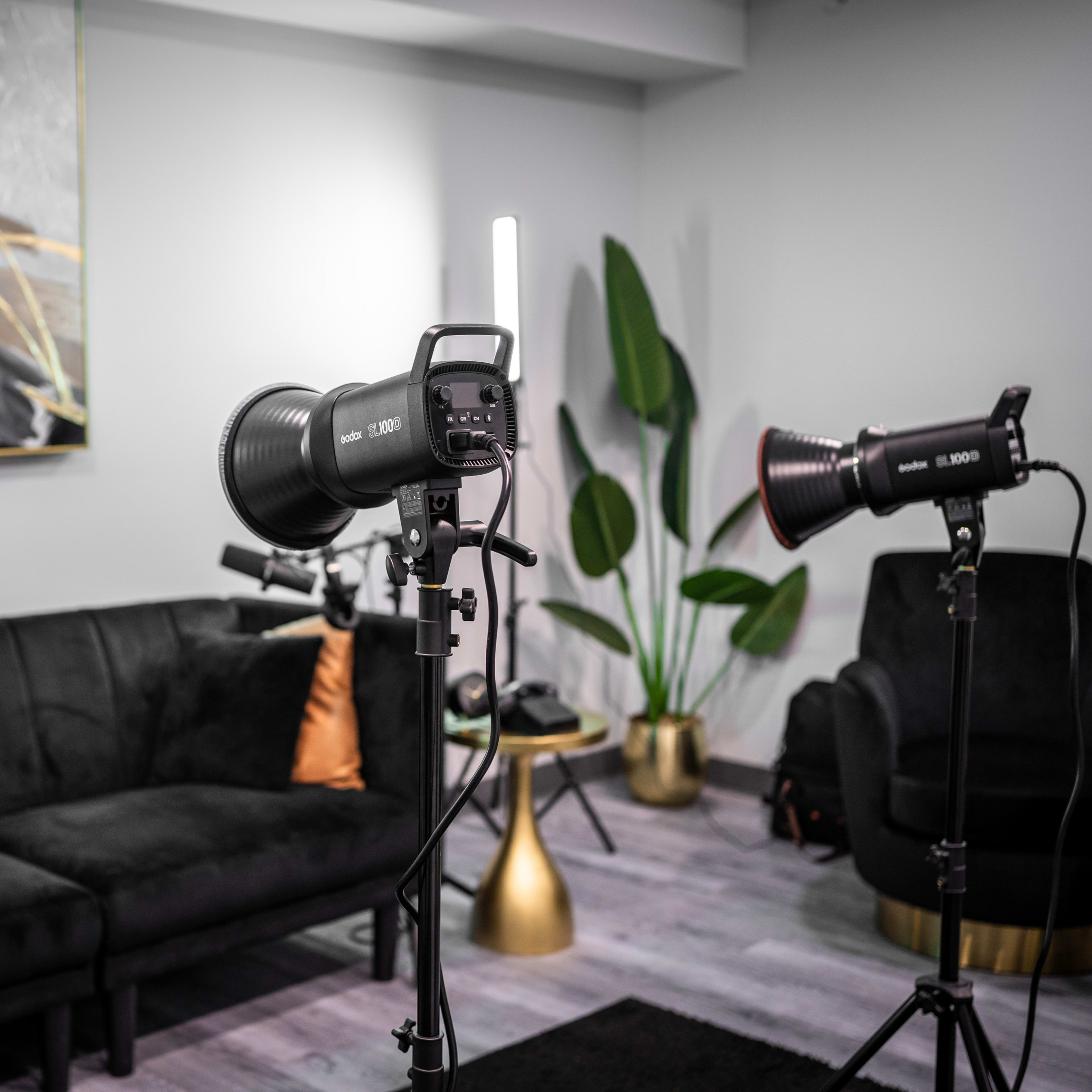 A modern interior setup with a black couch, decorative plants, and multiple lighting equipment arranged for a photoshoot.