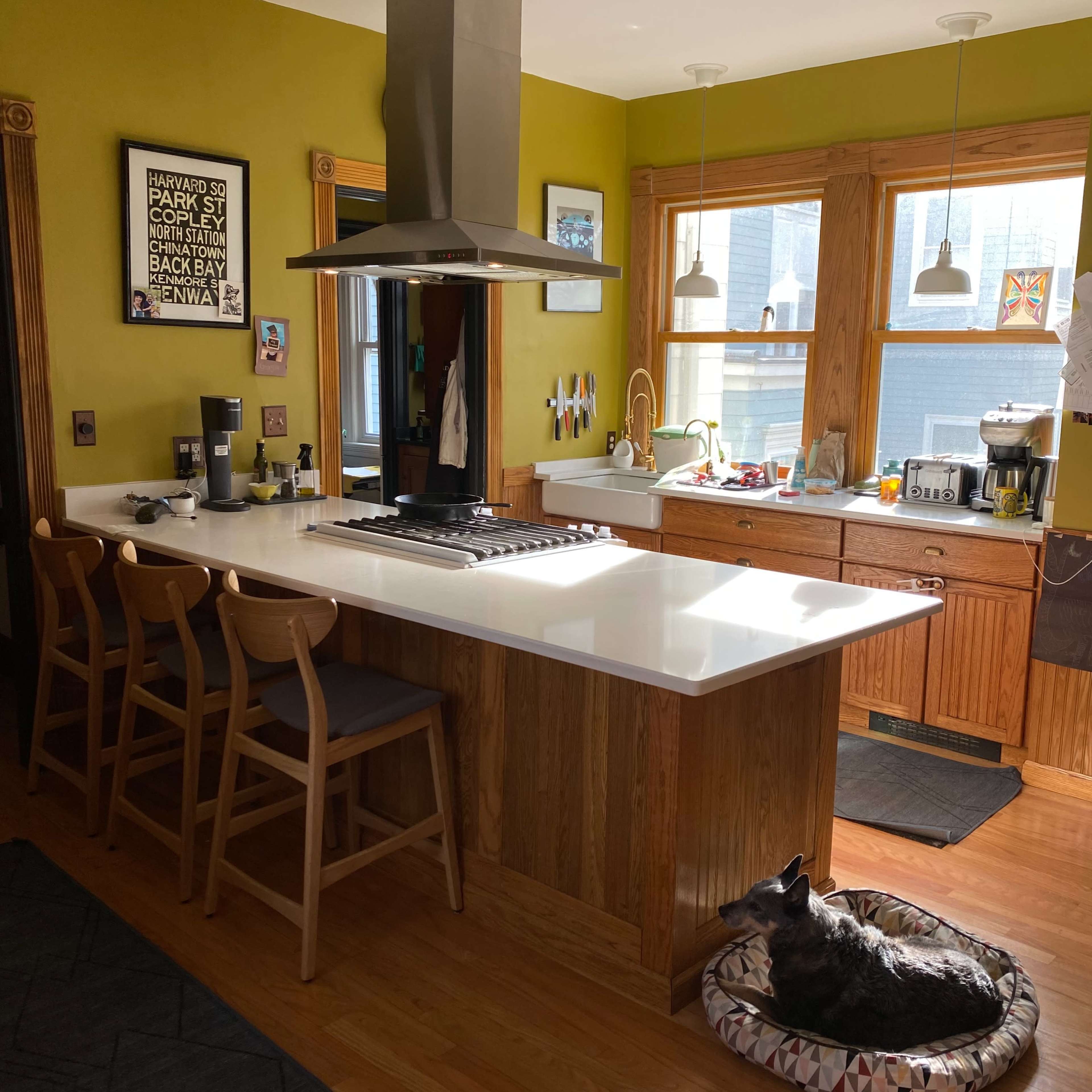 A bright kitchen features a central island with stools, a stovetop, and a dog resting on a bed in the corner.