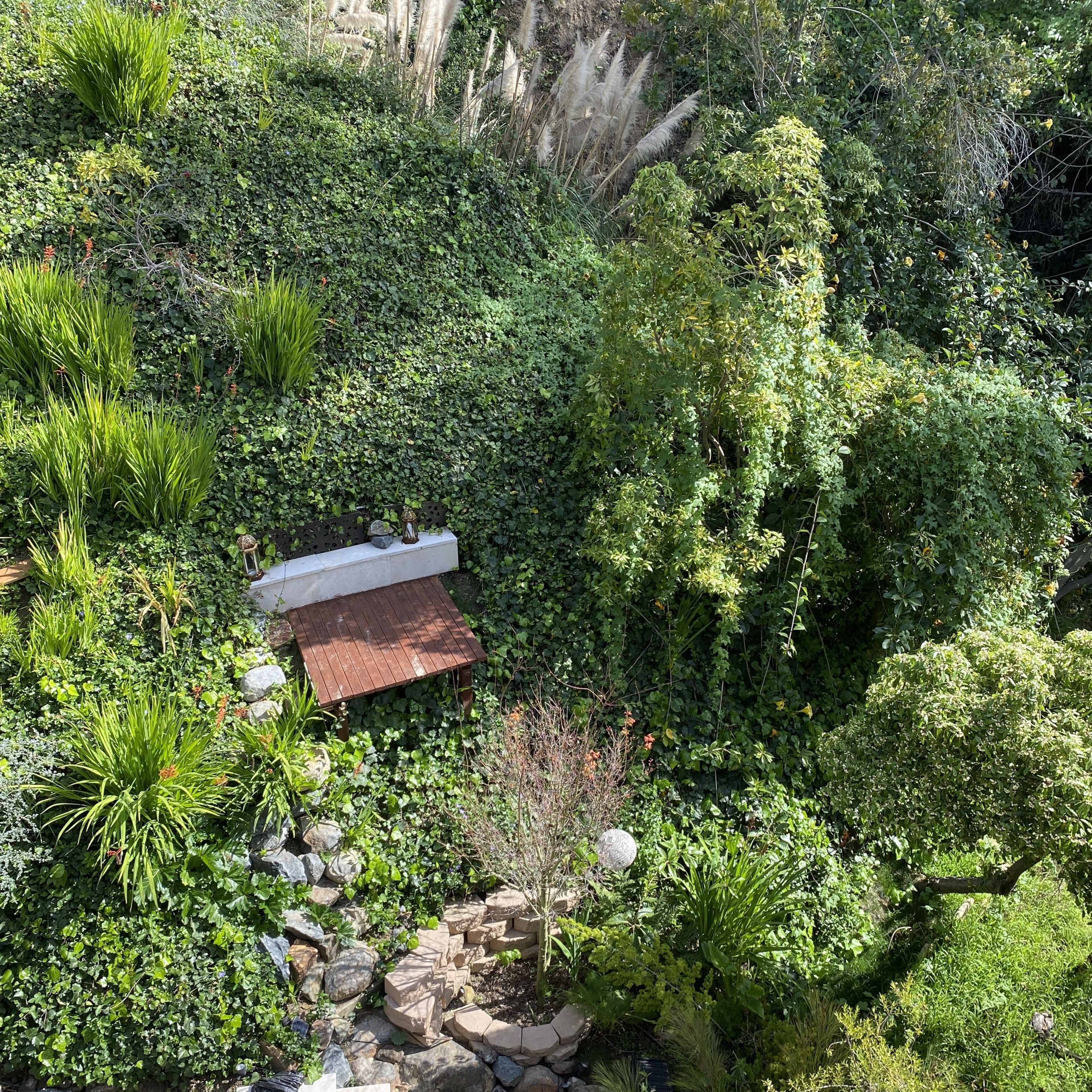 A hillside garden with lush greenery, including shrubs and tall grasses, alongside a small stone path leading to a wooden bench.