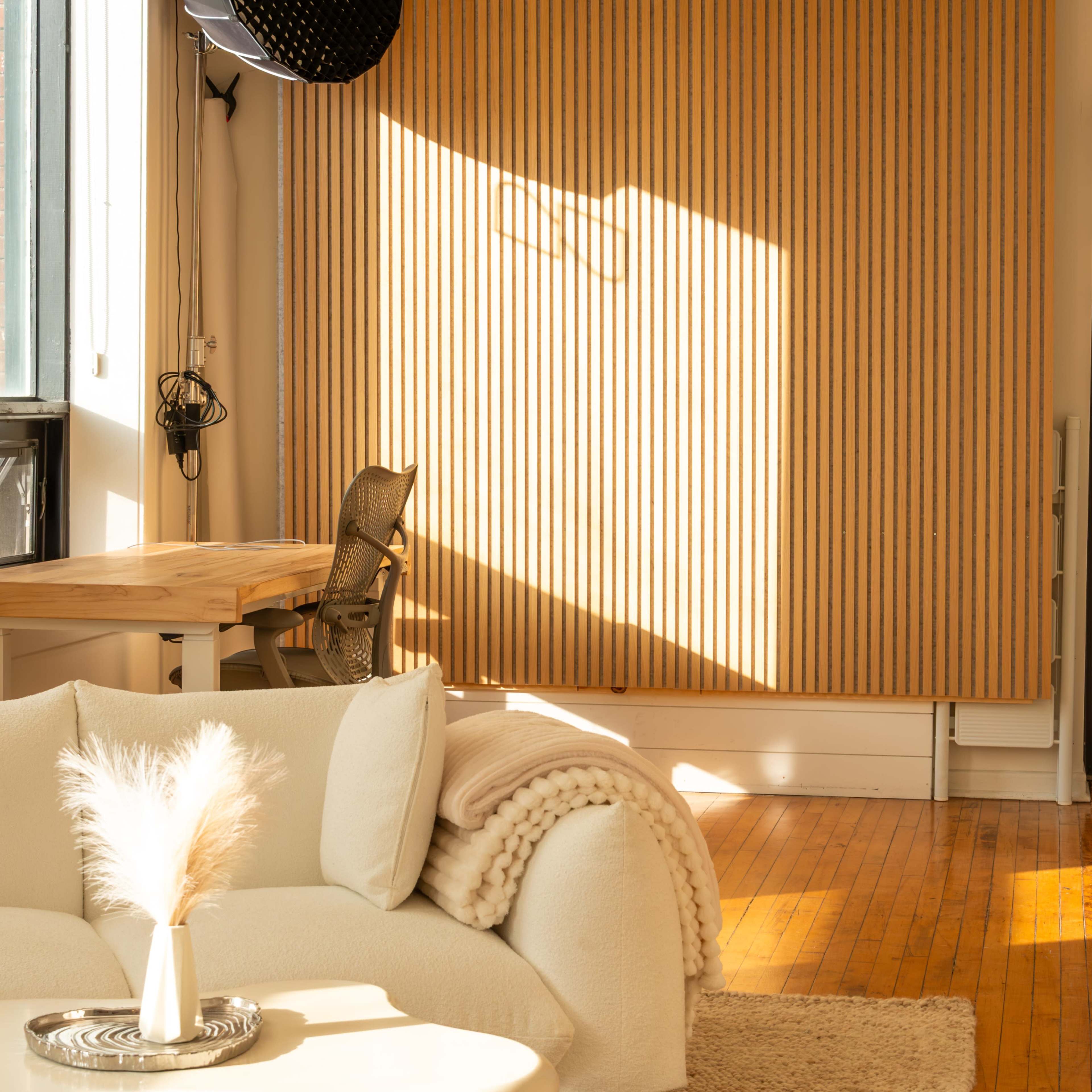 Natural Light Creative Studio Near MOCA Image in Dufferin Grove, Toronto, ON
