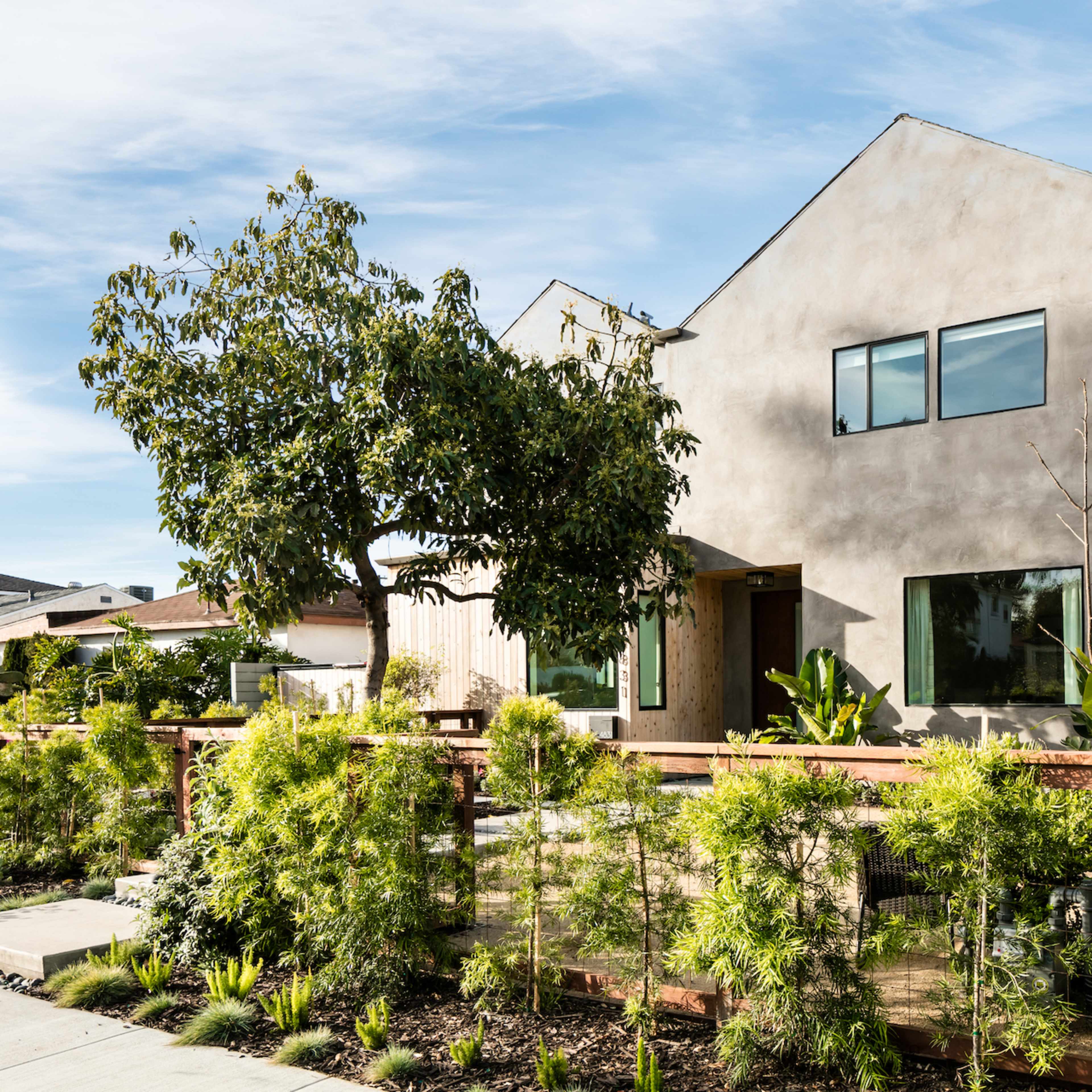 A modern two-story house with a concrete facade is surrounded by various plants and landscaping in a residential area.