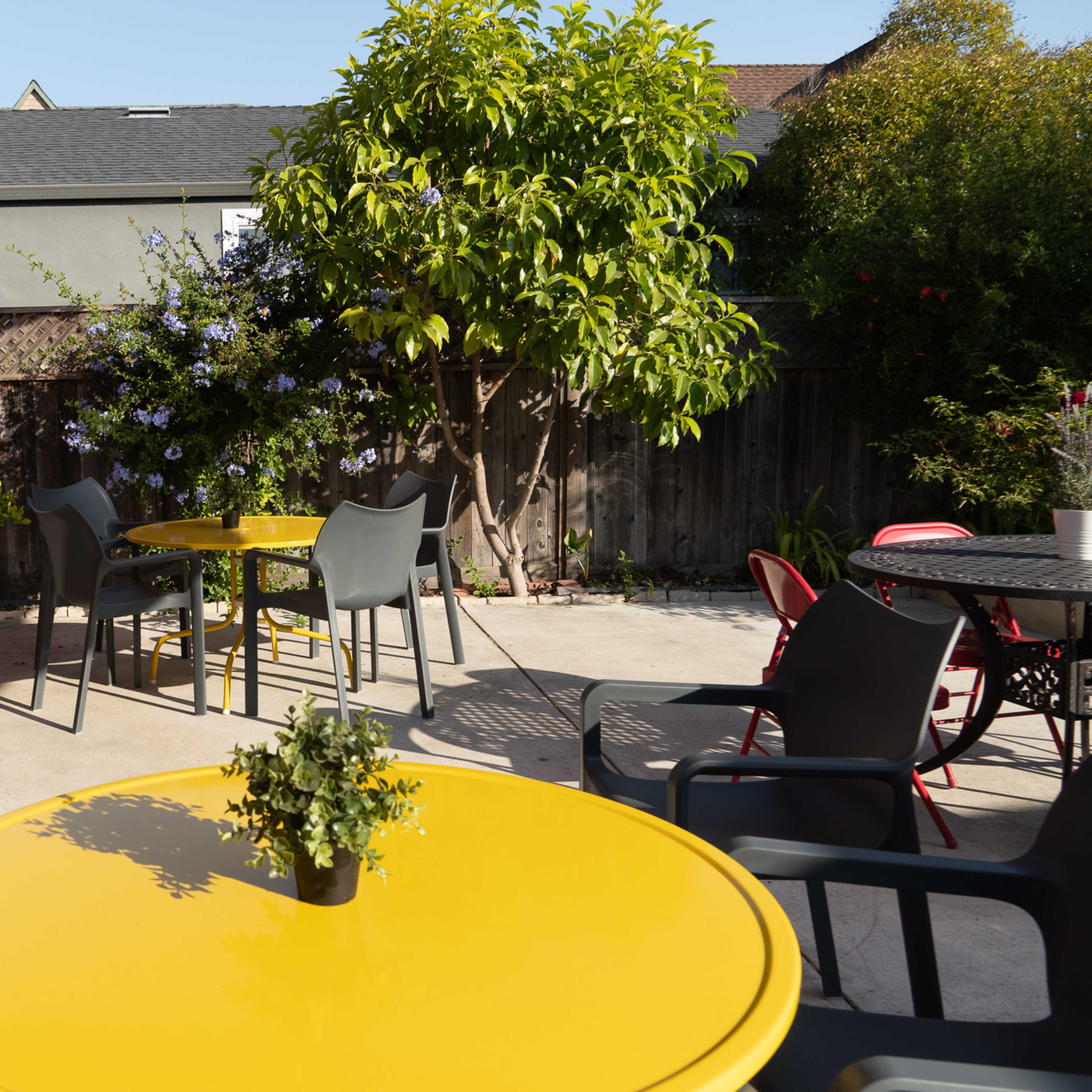A sunny patio features yellow tables and chairs surrounded by plants and a wooden fence.