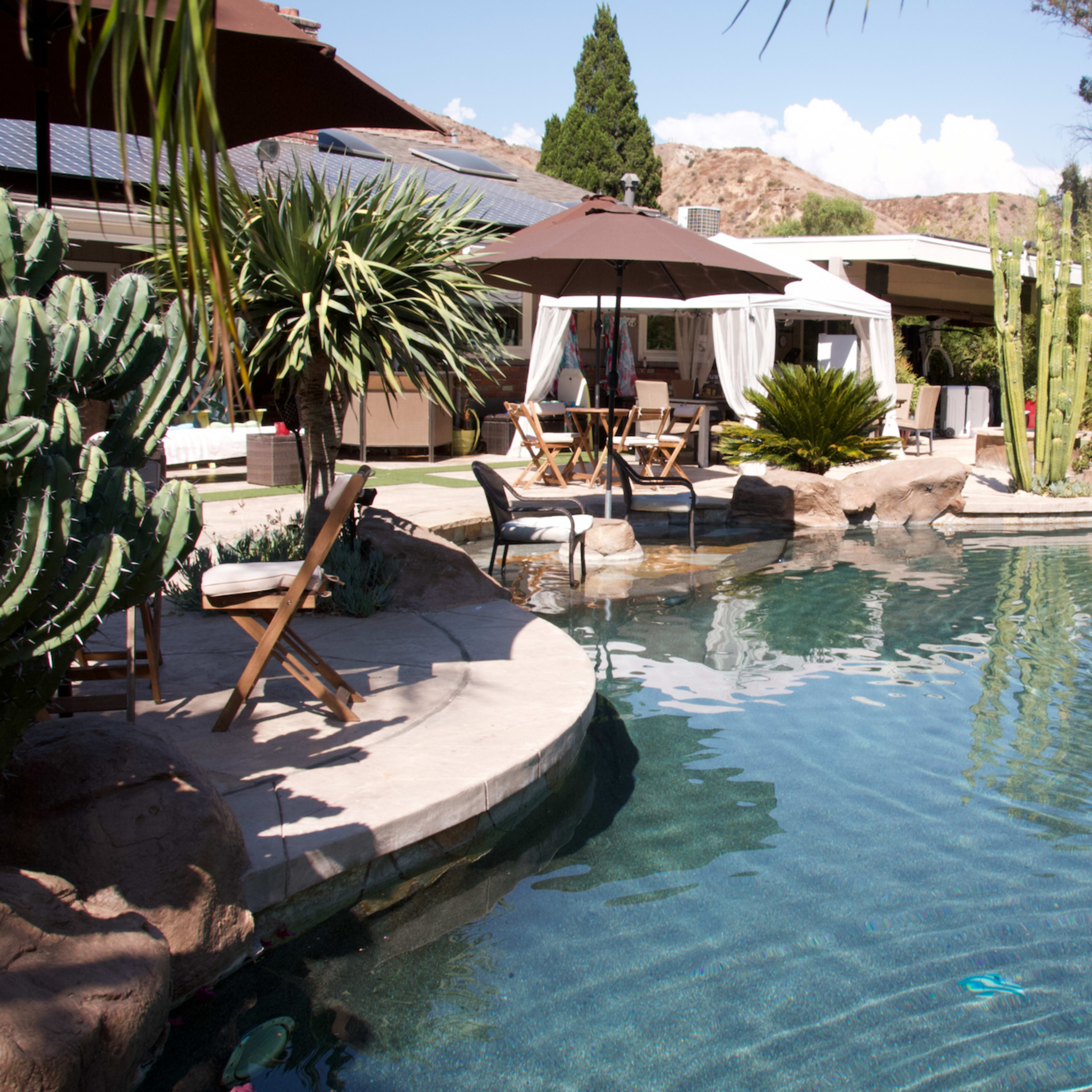 A landscaped pool area surrounded by palm trees, cacti, and lounge furniture under a shaded umbrella.