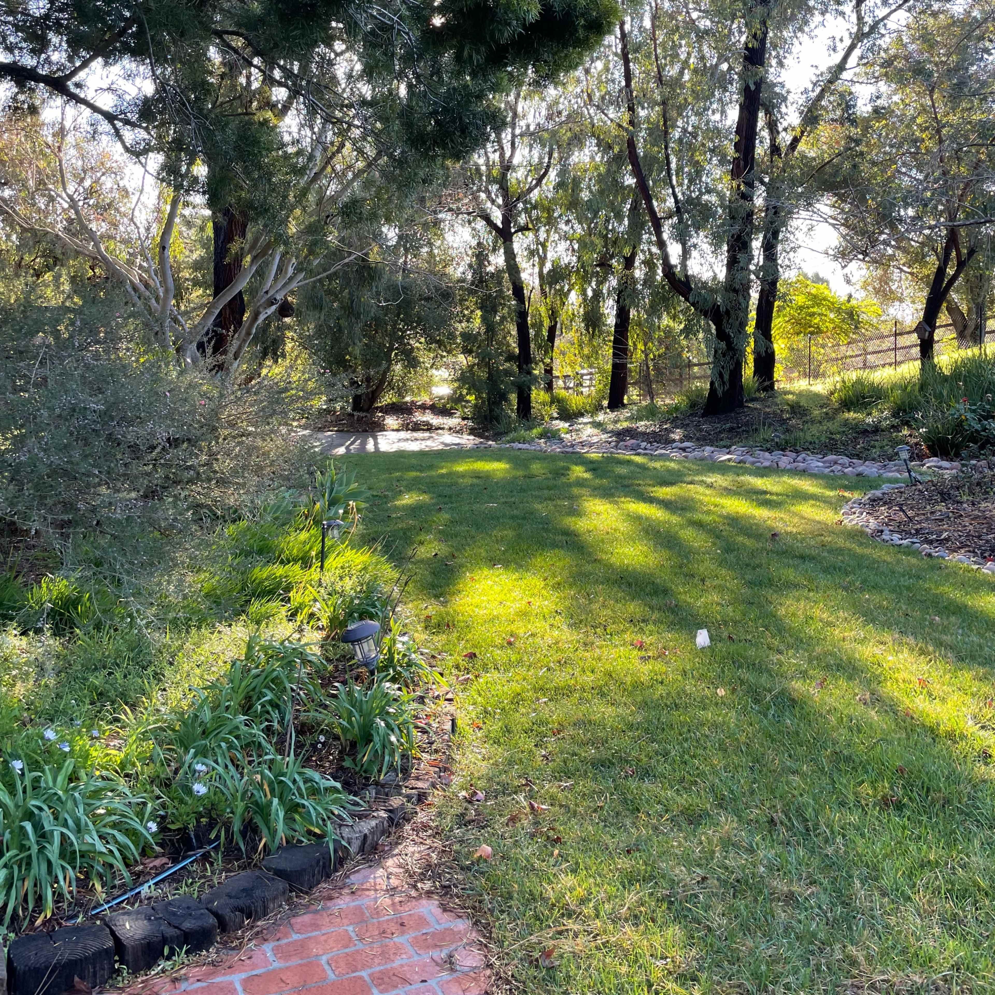 A pathway lined with plants leads into a park-like setting with trees and open grass under dappled sunlight.