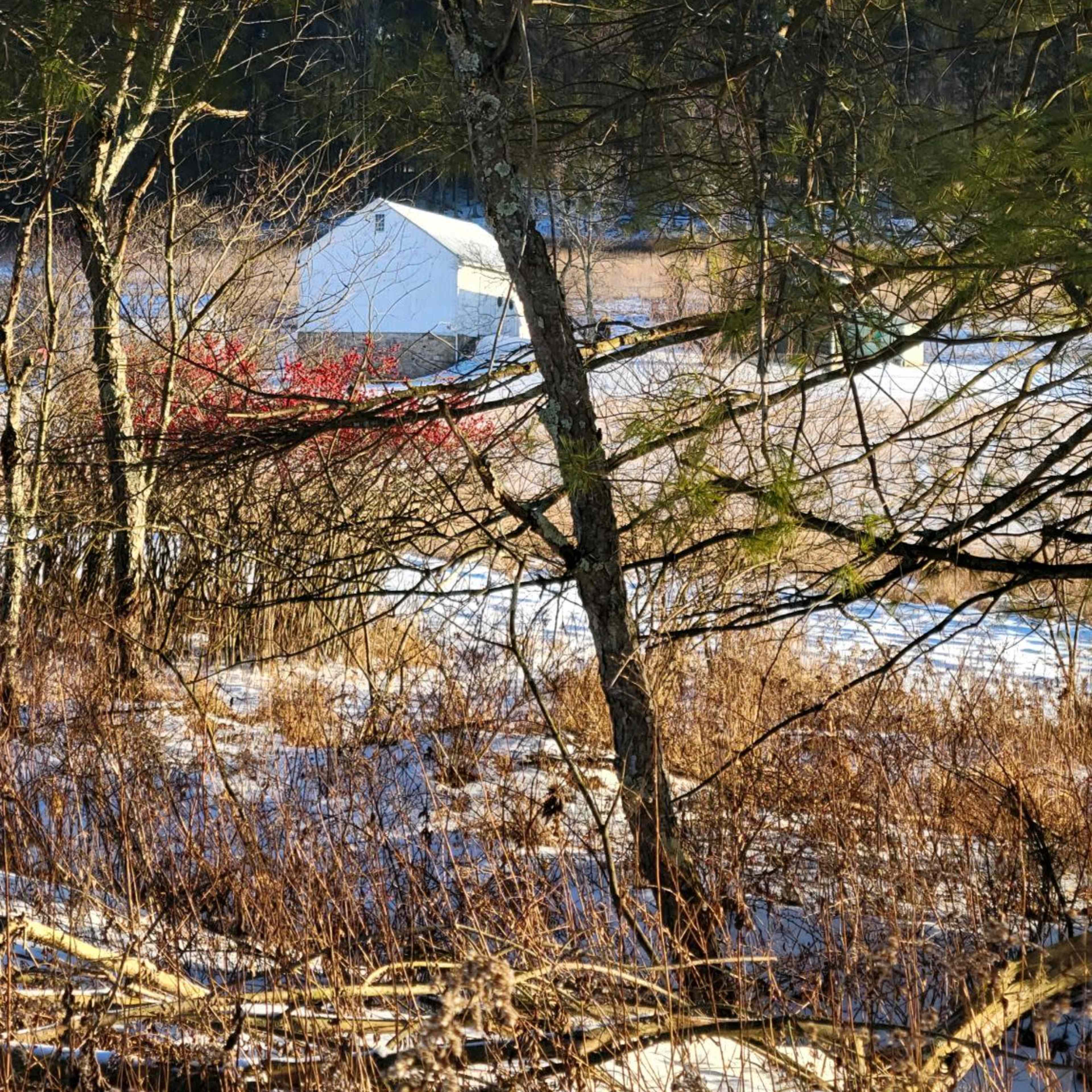 The Barn at Helana Farms Image in East Brunswick Township, New Ringgold, PA