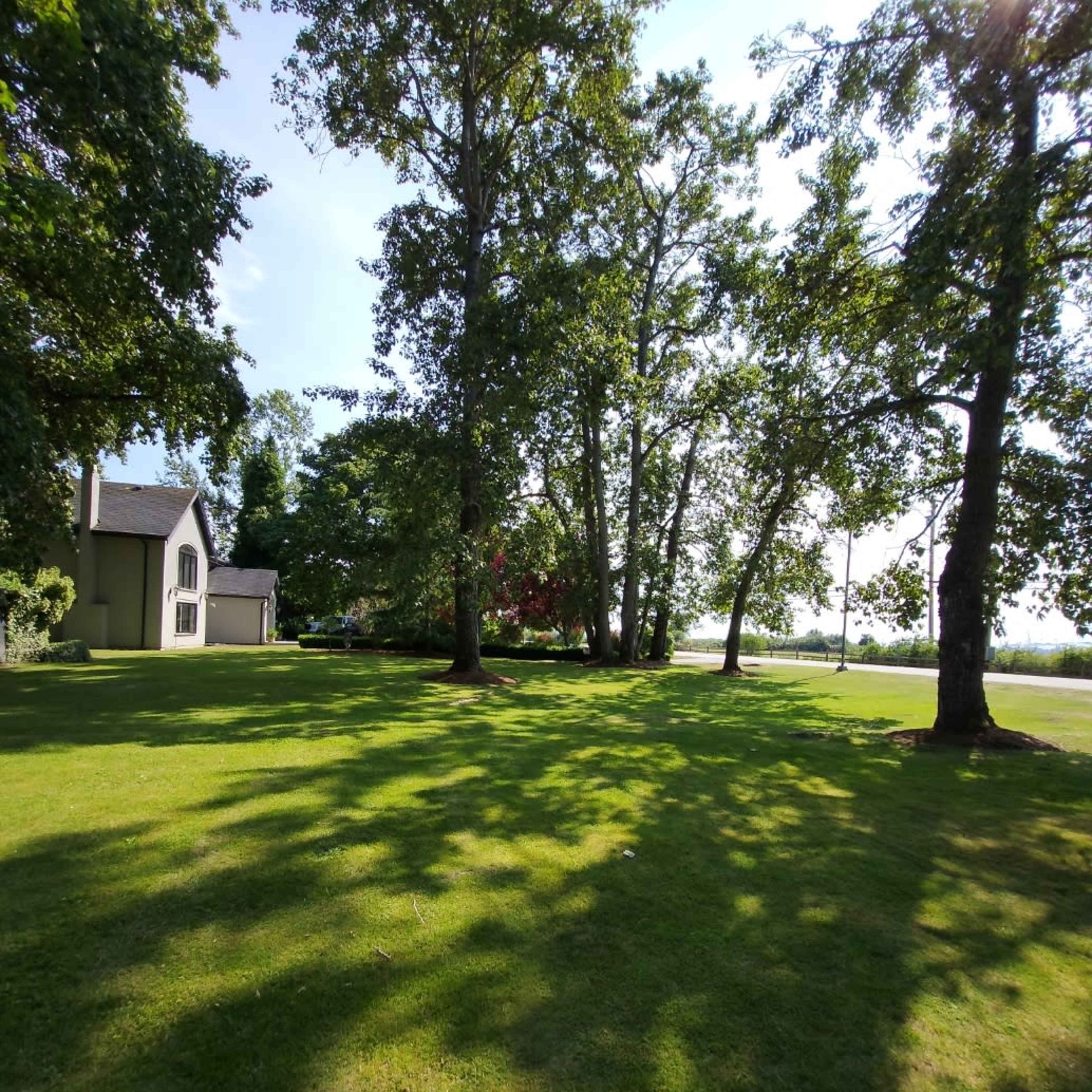 A grassy area is bordered by several trees and a house, with shadows cast on the lawn by the trees in the late afternoon light.