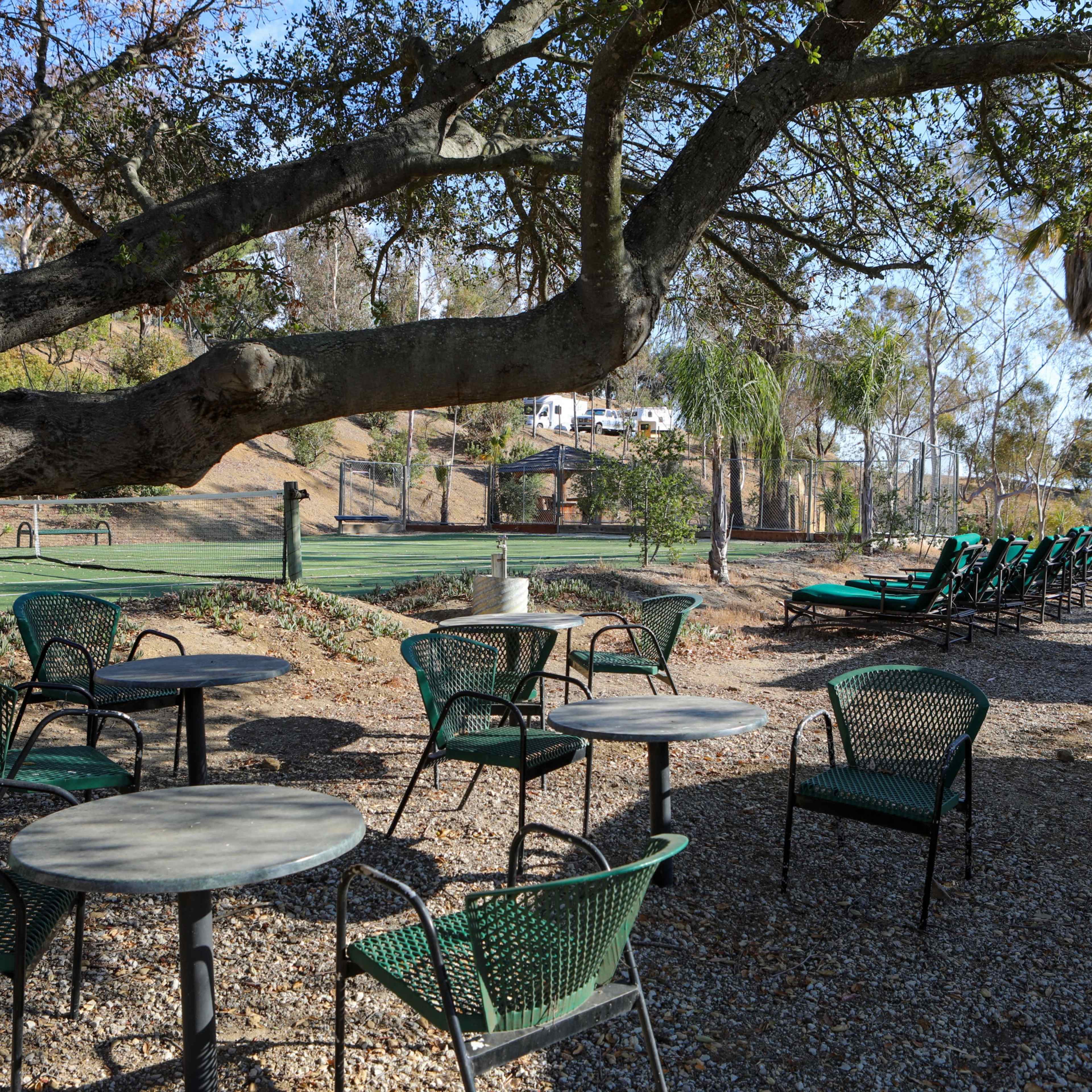 A cluster of green chairs and tables sits under a large tree, with a sunlit landscape featuring additional lounge chairs and a gently sloping hill in the background.