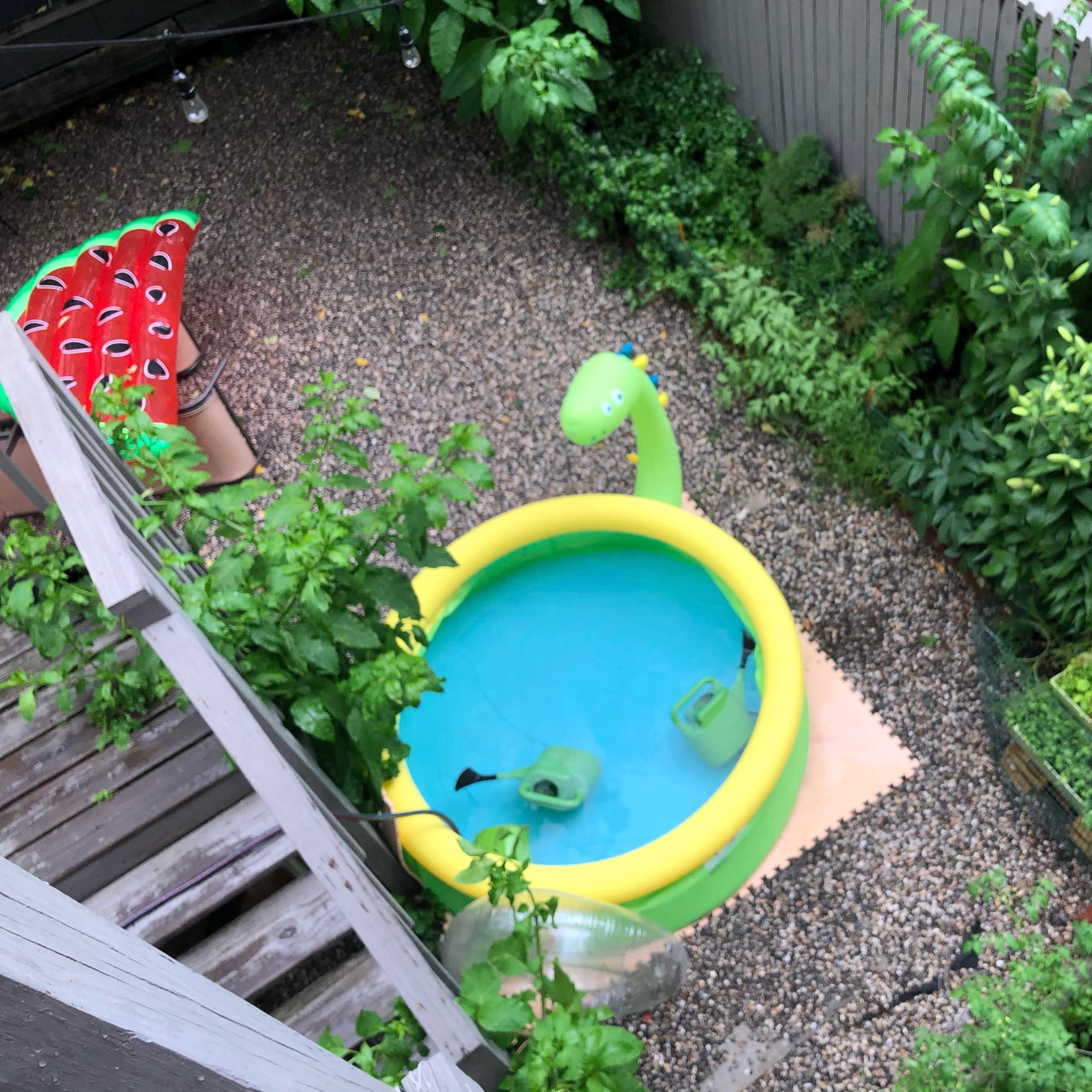 A colorful inflatable pool shaped like a dinosaur sits in a small, lush garden surrounded by greenery and potted plants.