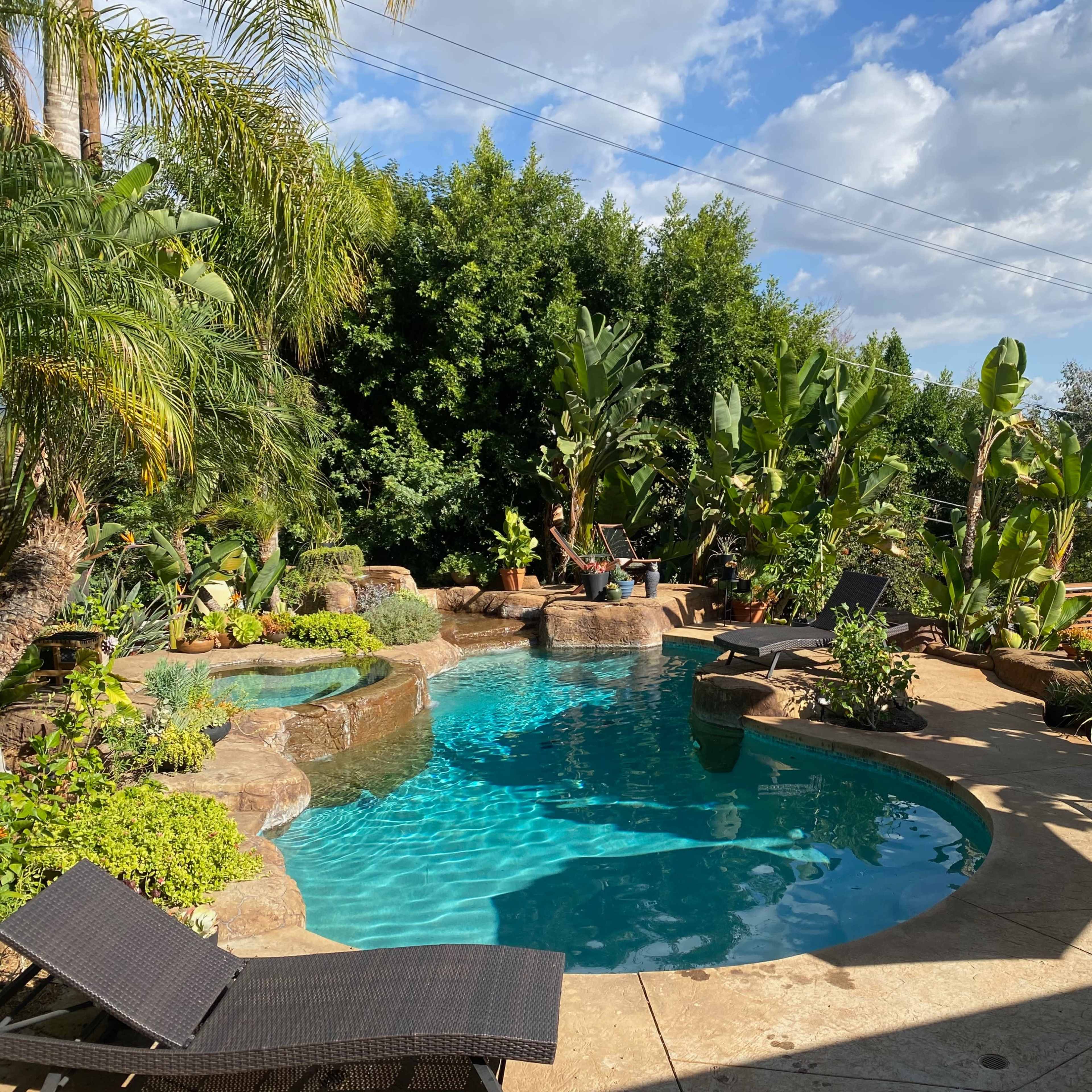 Maui Vibes in Pasadena for Photoshoots and Film Image in South Arroyo, Pasadena, CA