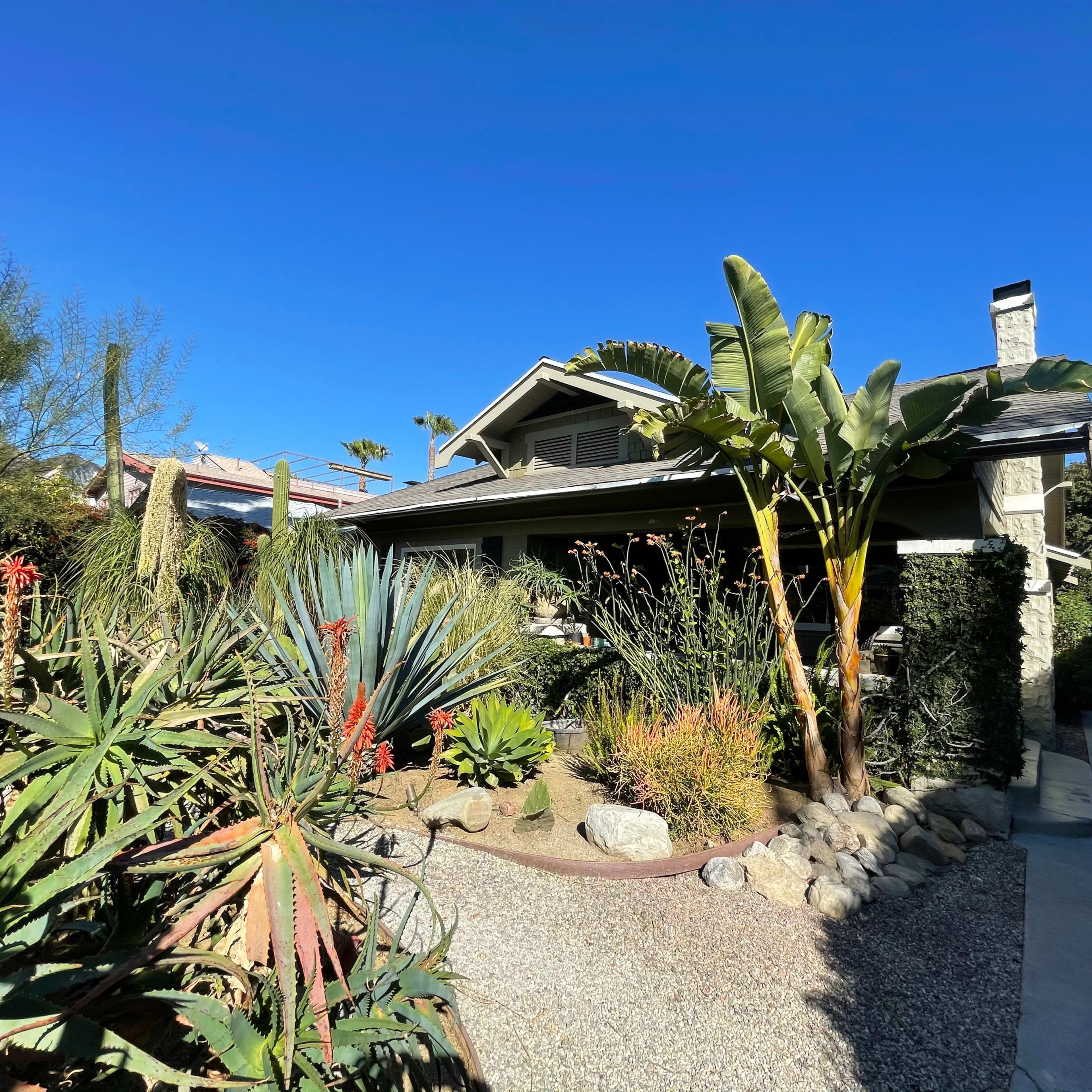 A landscaped yard with various plants surrounds a single-story house under a clear blue sky.
