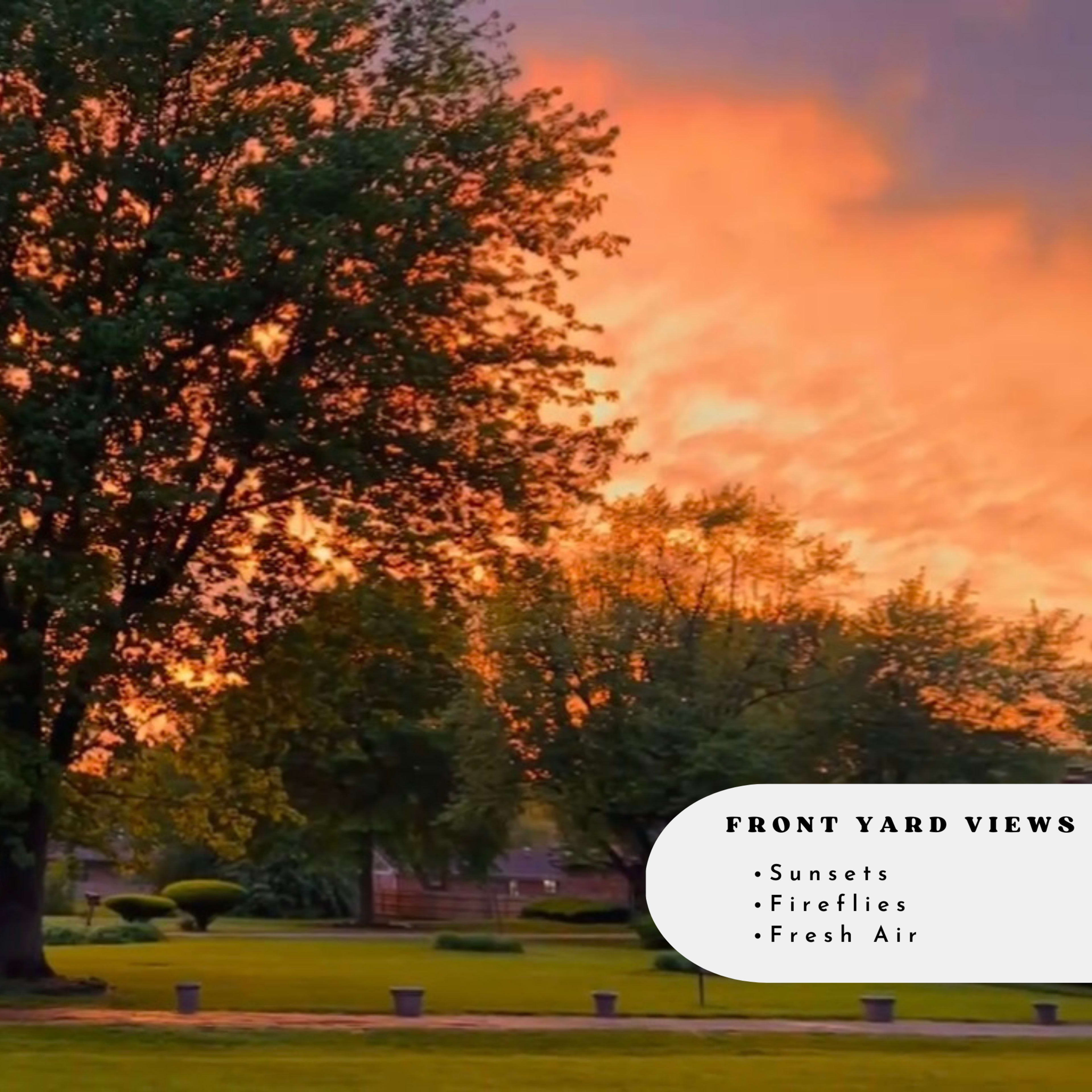 A large tree stands in a front yard, silhouetted against a vibrant sunset sky.