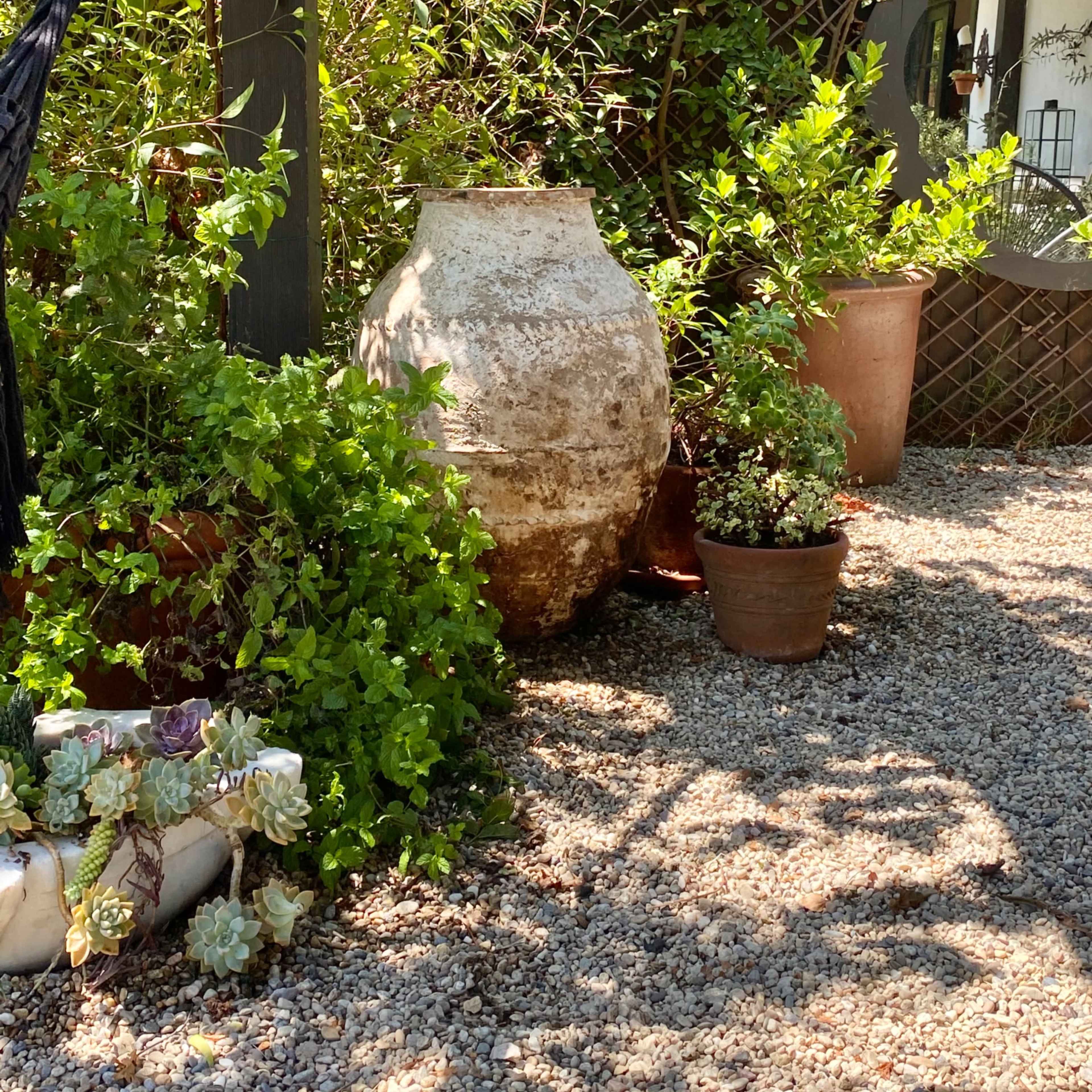 A weathered clay urn is surrounded by potted plants and green foliage in a garden setting.