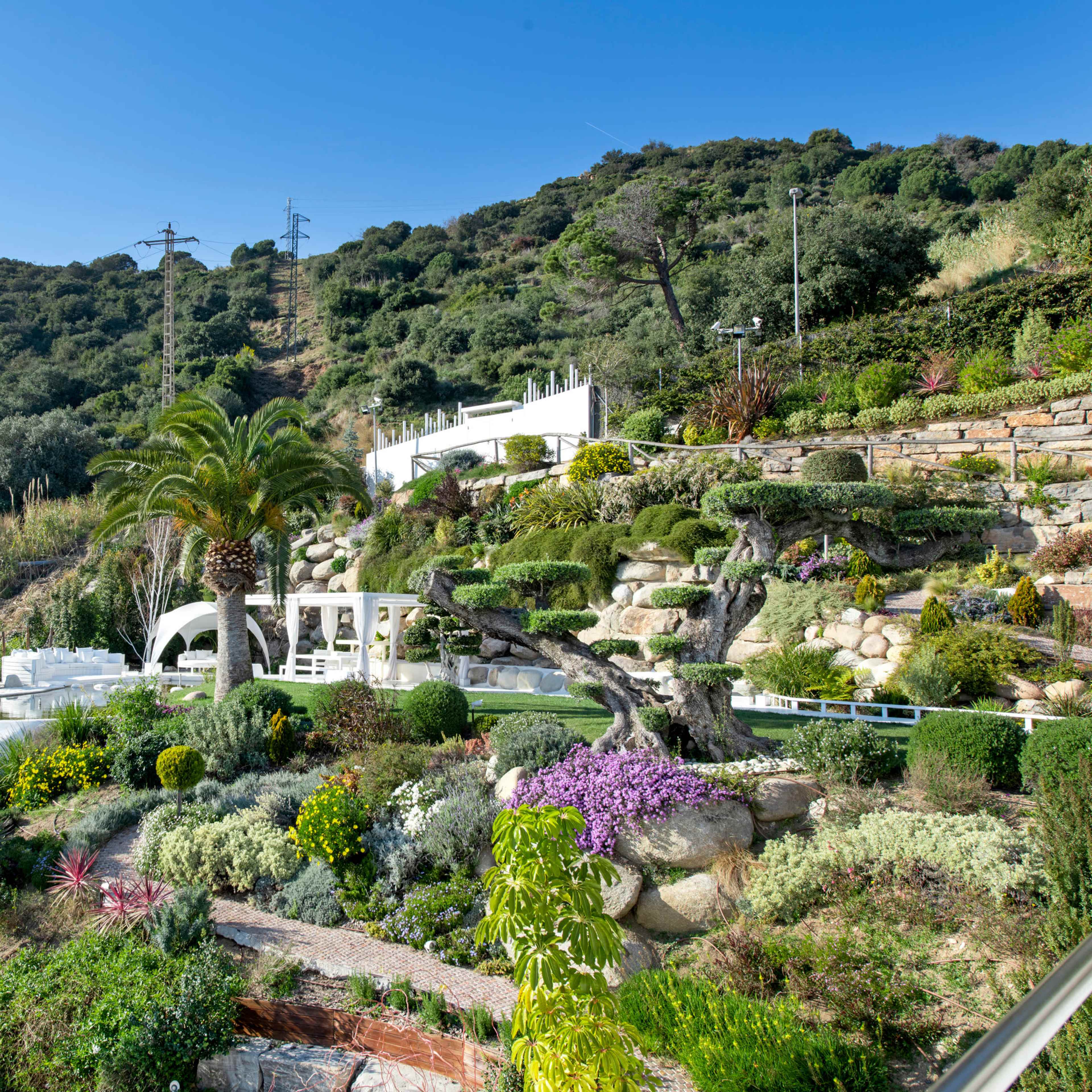 A beautifully landscaped hillside garden features various plants, terraces, and a modern white structure set against a clear blue sky.