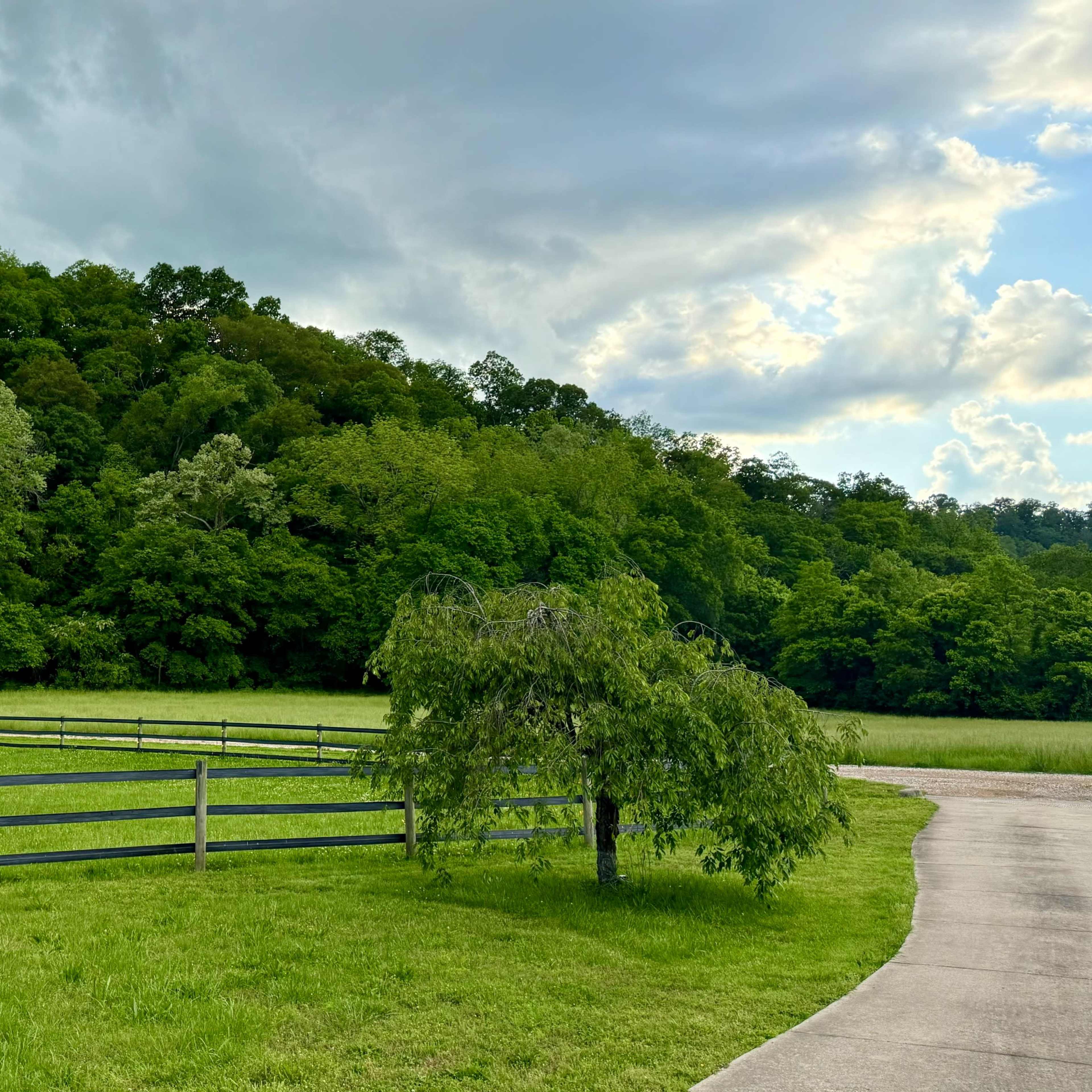 Hollow Fields Image in Bellevue, Pegram, TN
