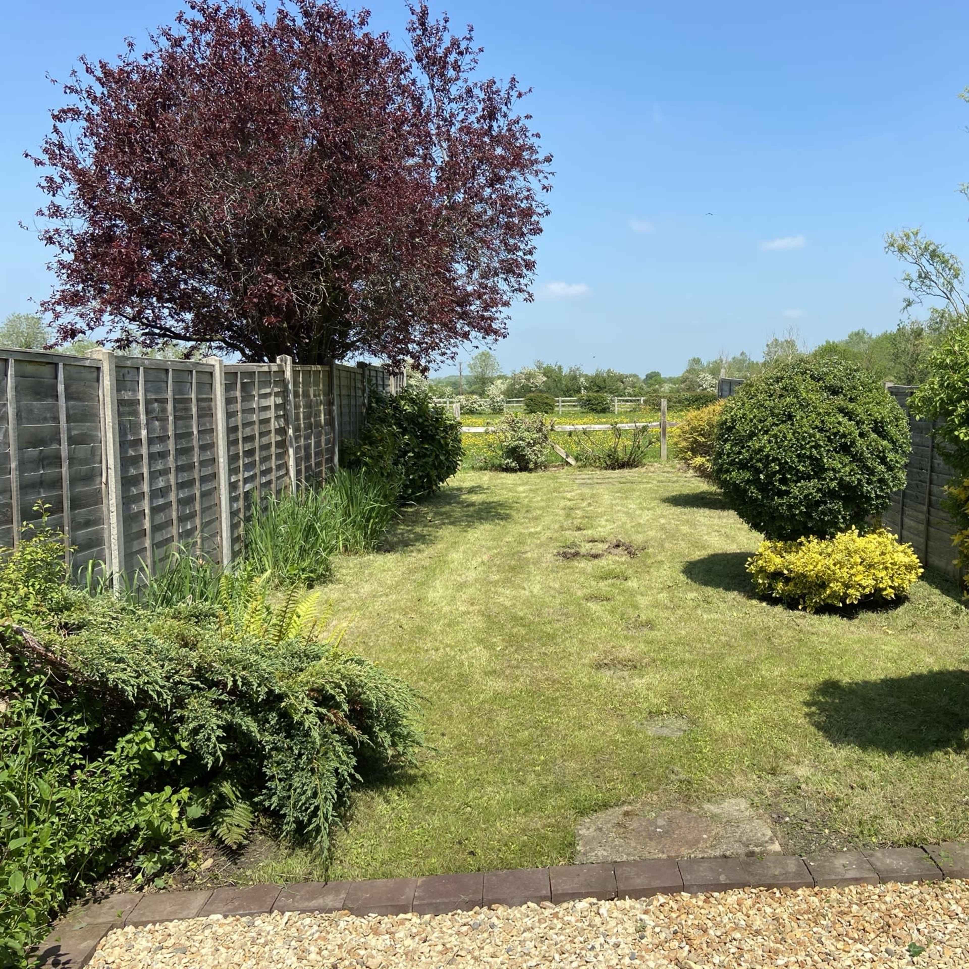 A well-maintained garden features a grassy path bordered by shrubs and trees, with a clear sky above.