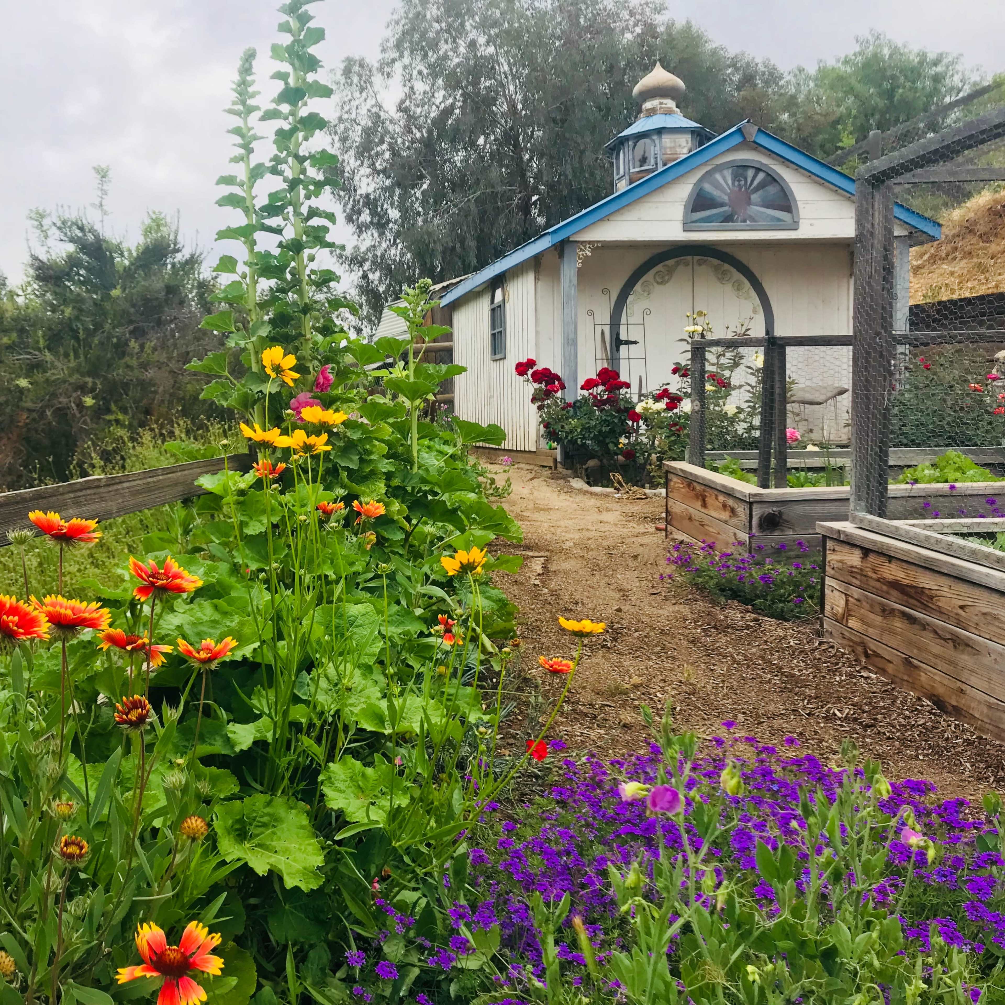 A colorful garden filled with flowers lines a pathway leading to a white building with a blue roof and a decorative window.