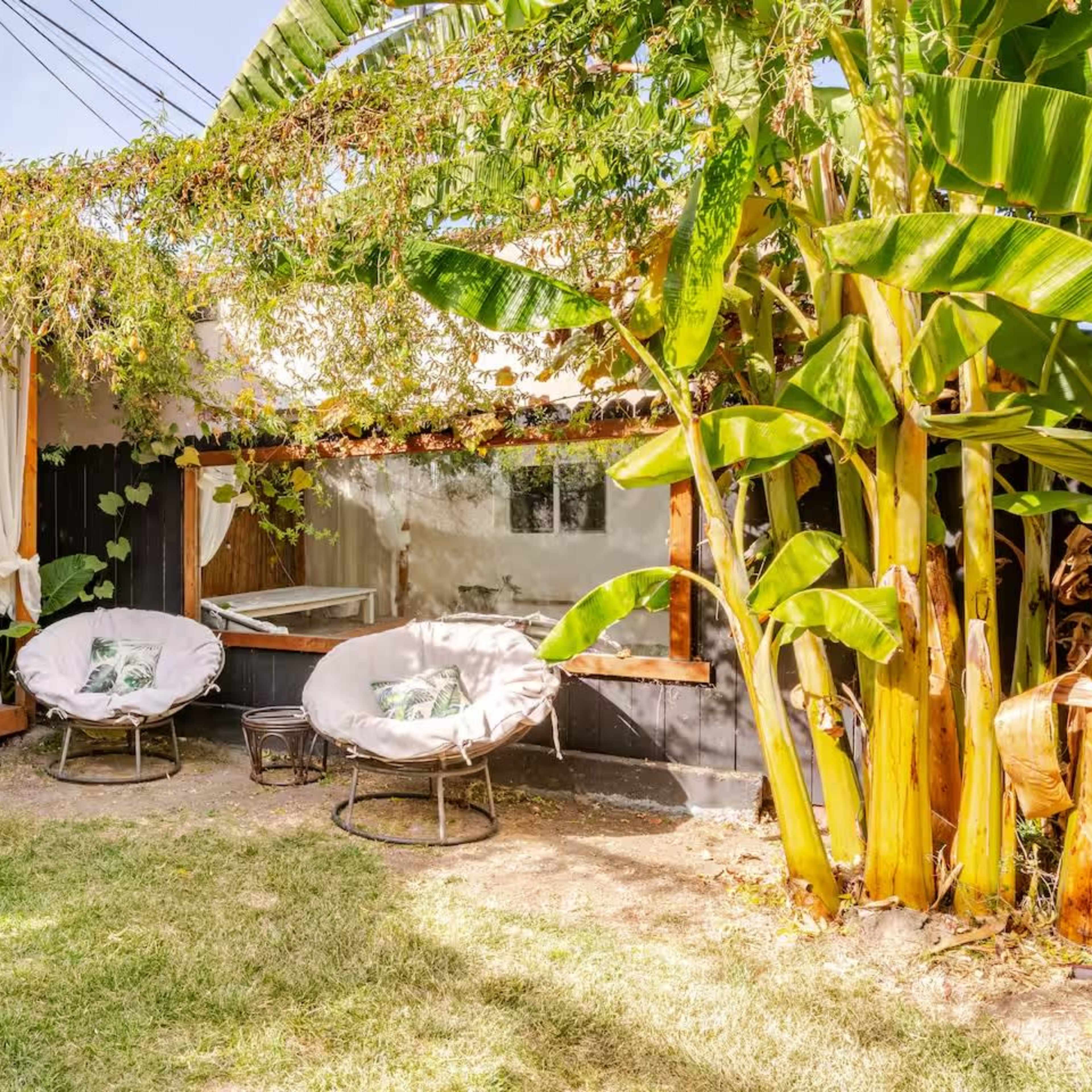 Tropical Backyard Garden & Colorful Courtyard - in the Heart of LA Image in Hyde Park, Los Angeles, CA