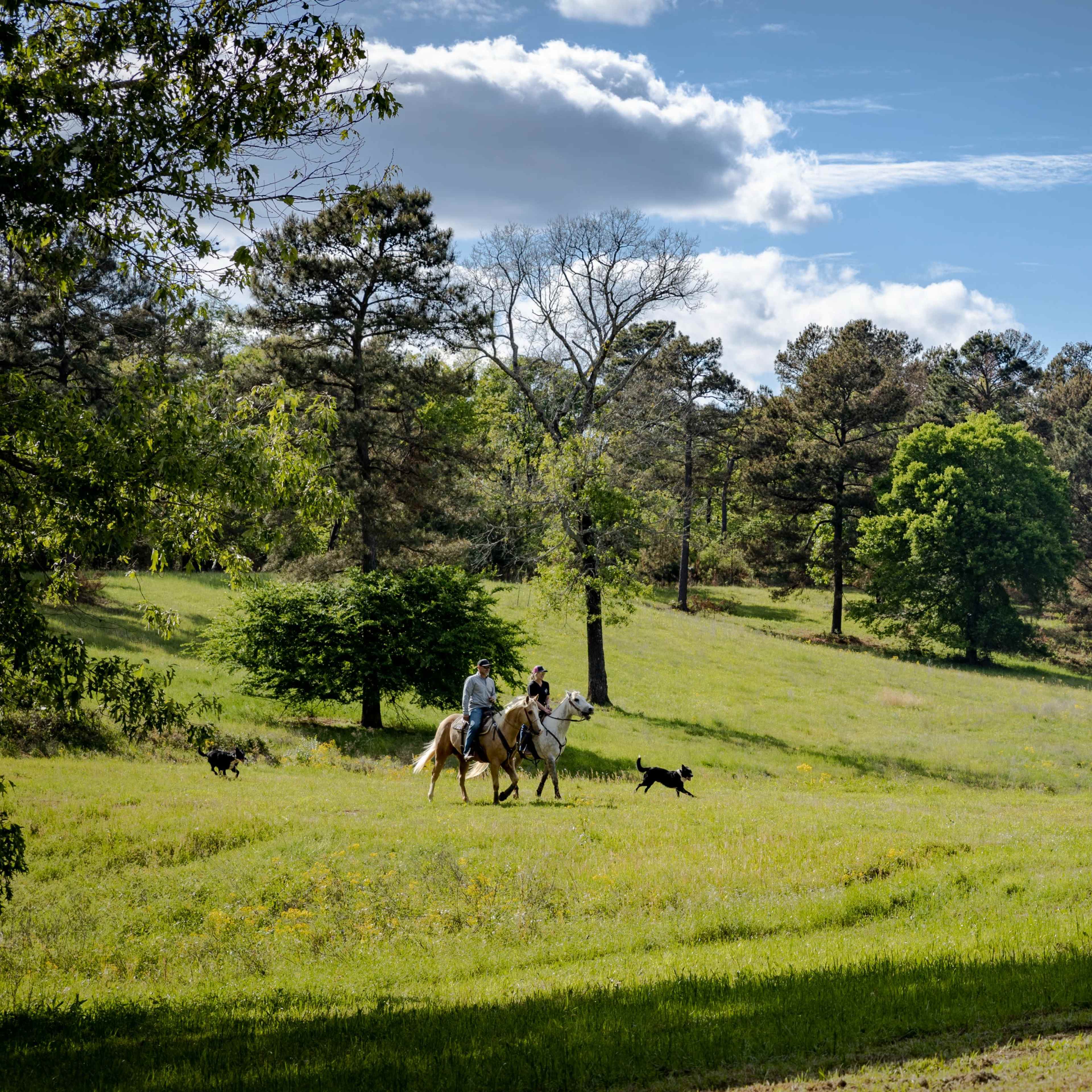 Two riders on horseback traverse a grassy field accompanied by a dog, surrounded by trees under a partly cloudy sky.