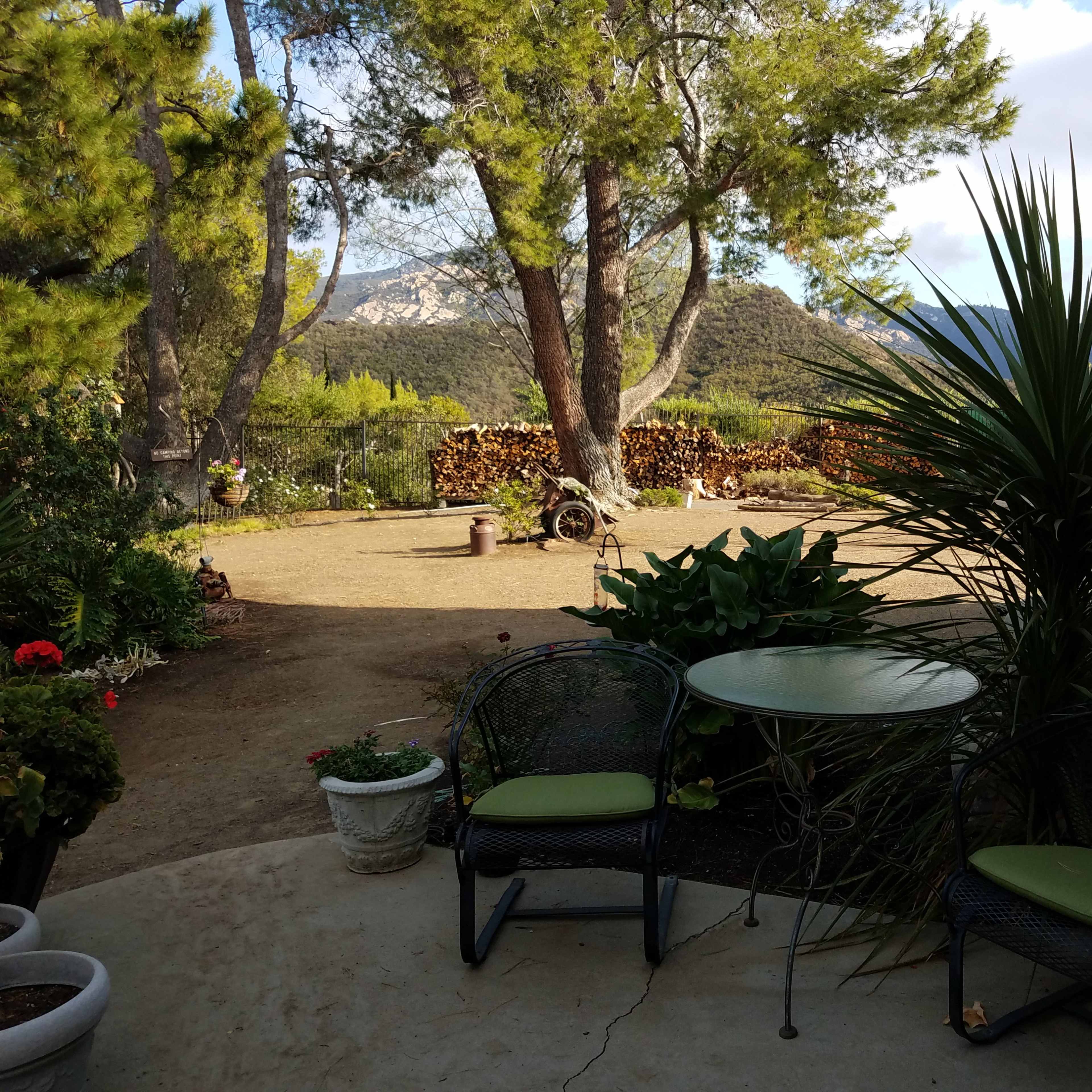 A patio area features green chairs and a small table, surrounded by various plants and leading to a scenic view of a wooded landscape in the background.