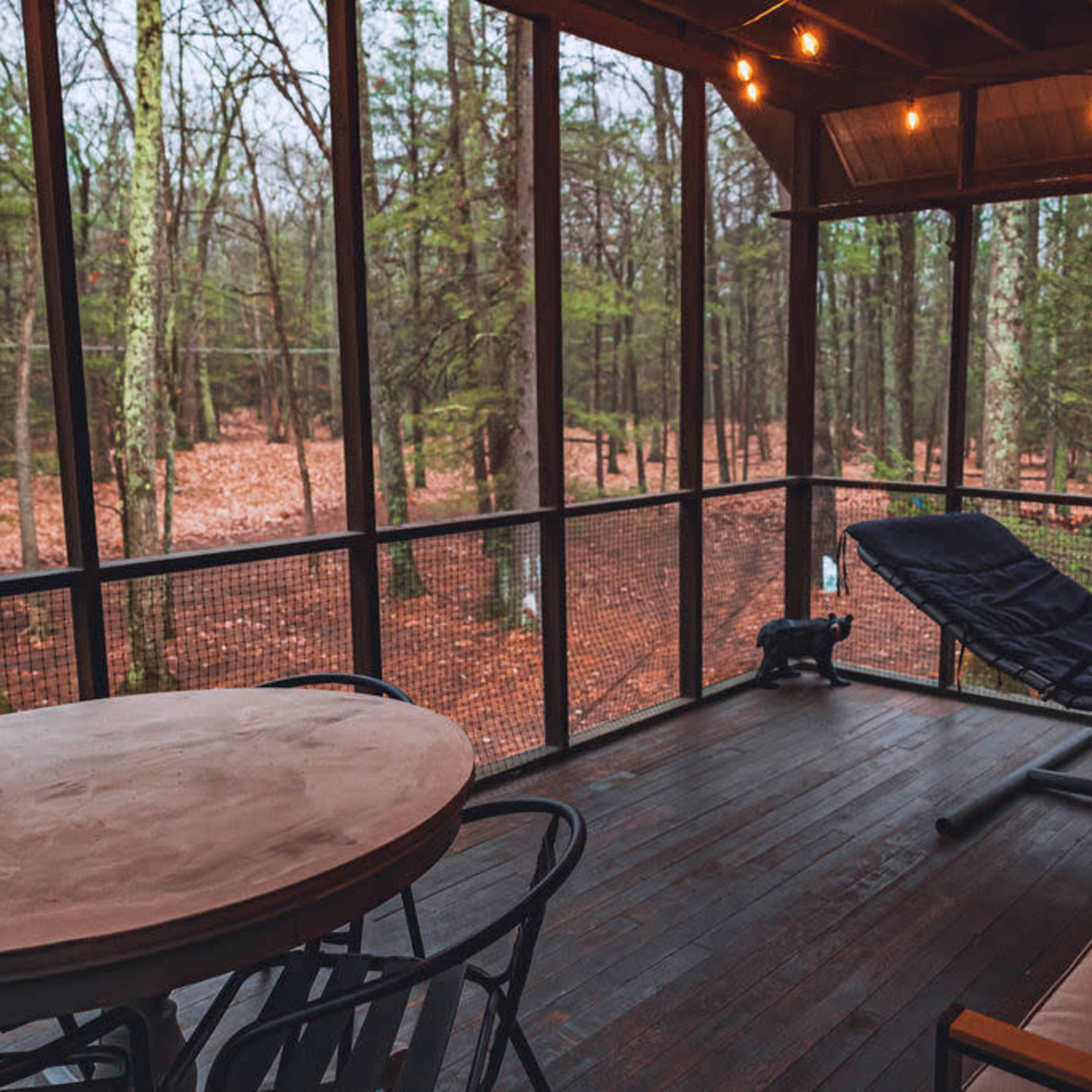 A screened porch features a hanging chair and a round table, overlooking a forested area with tall trees and fallen leaves.