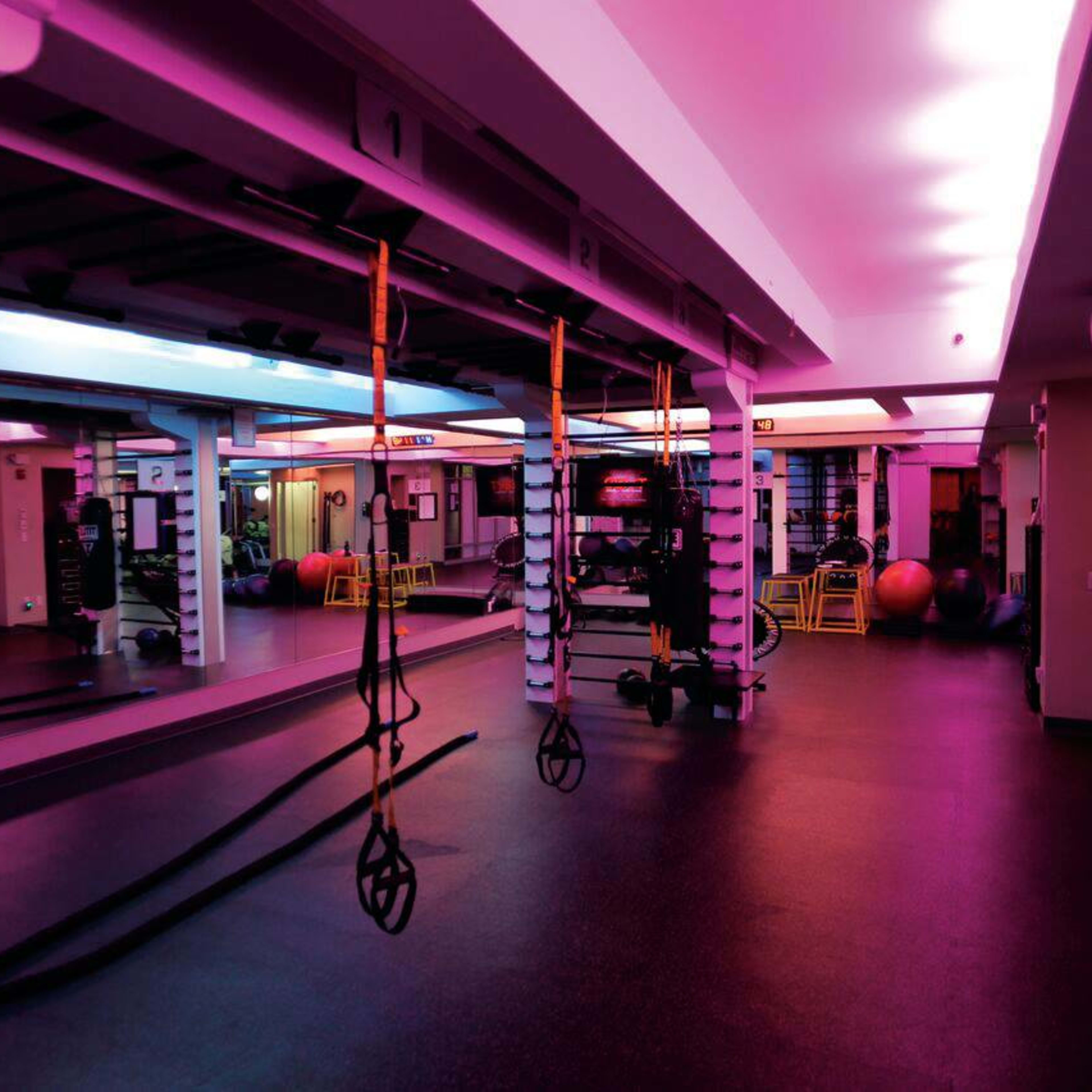 A modern fitness studio features colorful lighting and various exercise equipment, including TRX straps and exercise balls, against a backdrop of mirrors.