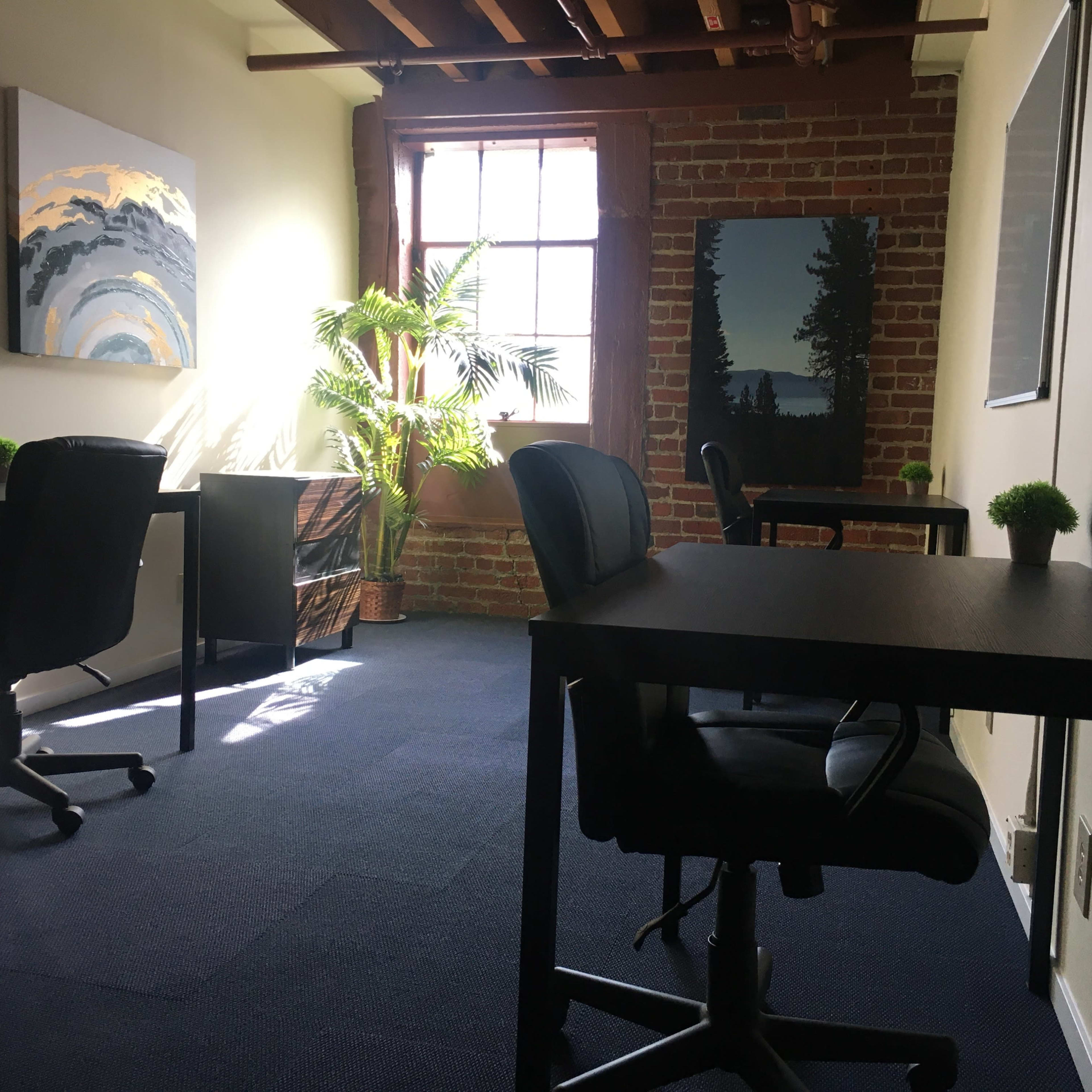 An office space with two empty black desks, chairs, and decor including plants and artwork, illuminated by natural light from a window.
