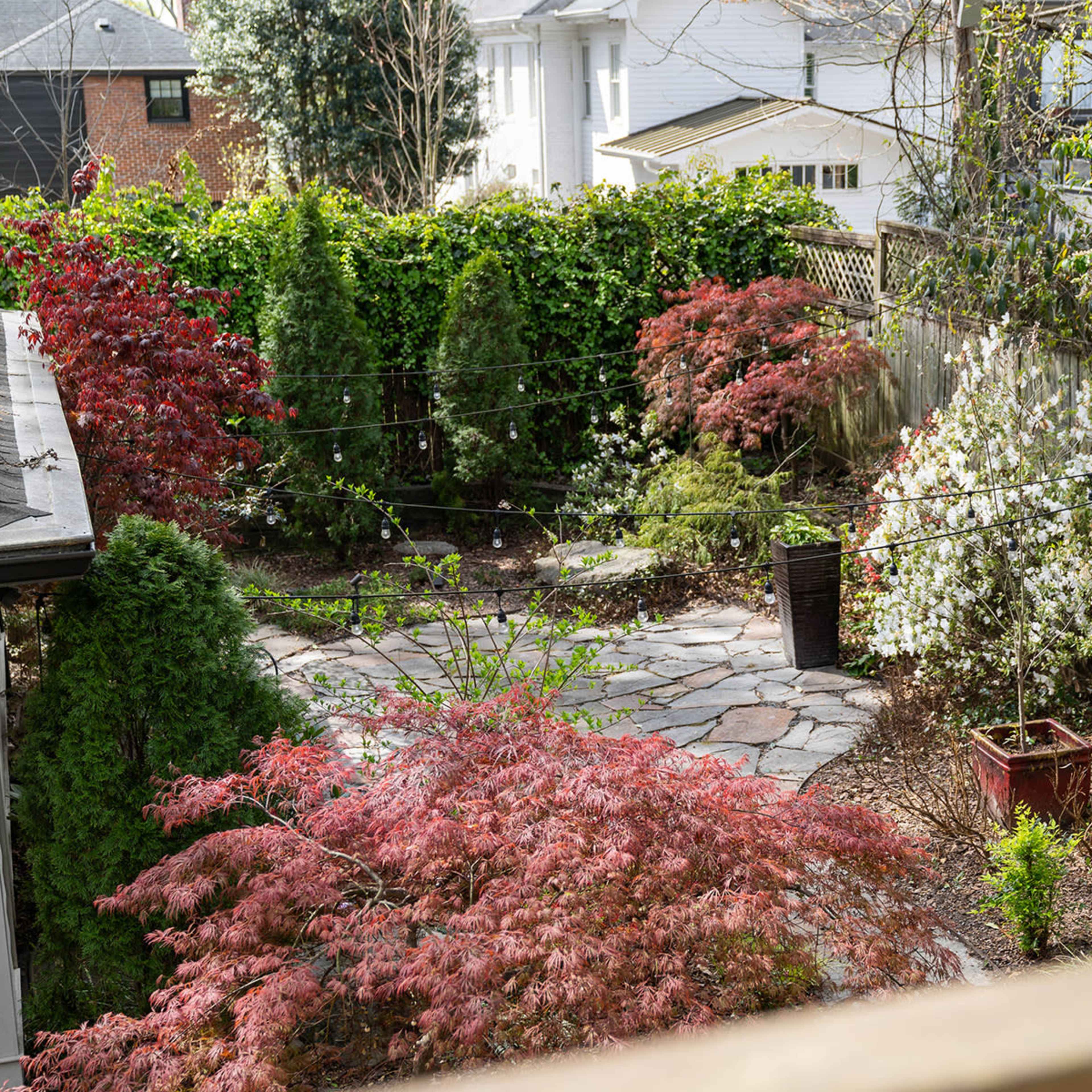 A landscaped backyard features stone pathways, various shrubs, and flowering plants surrounded by green foliage.