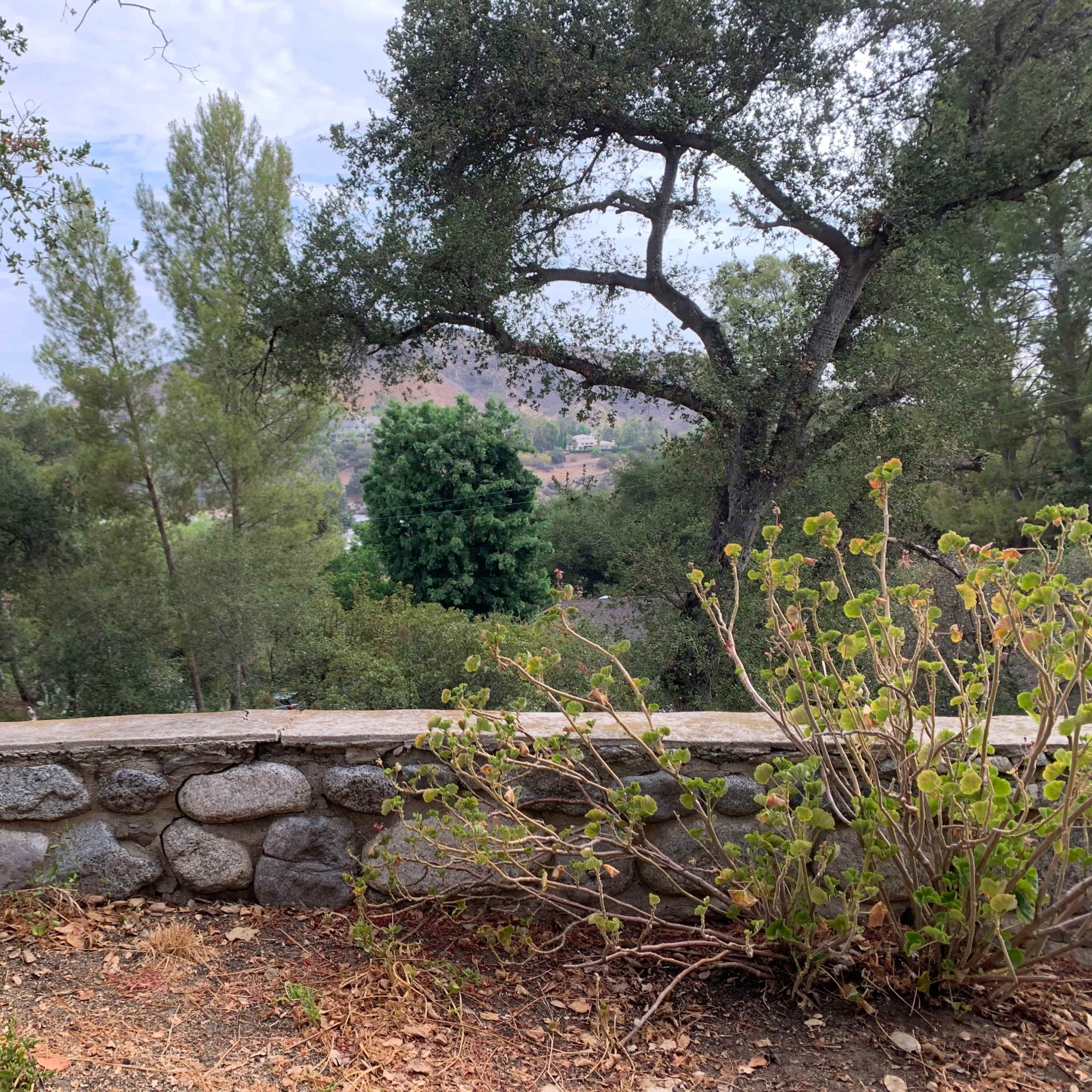 A stone wall overlooks a wooded hillside with trees and a distant view of a lush green area.