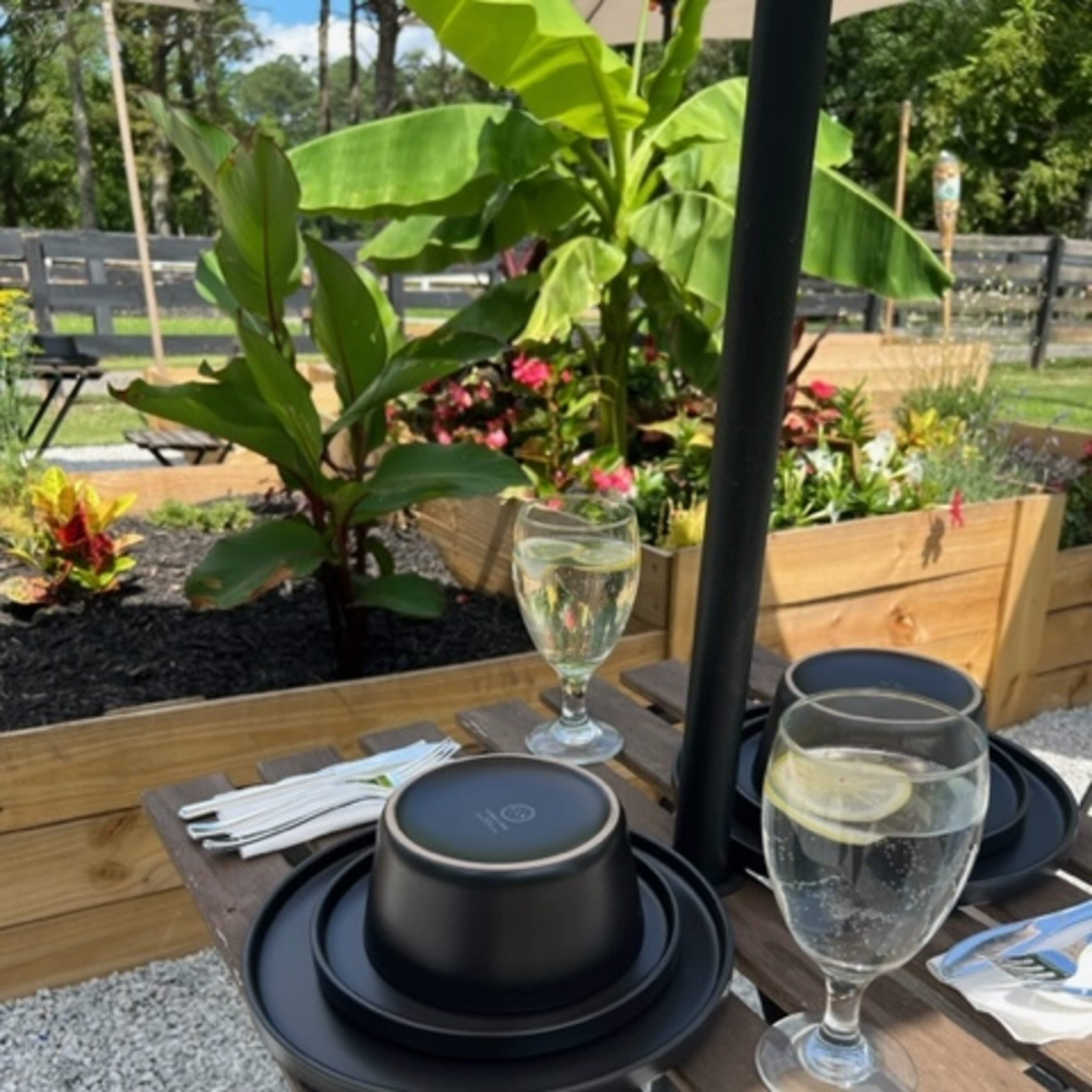 A black plate and bowl are placed on a wooden table, accompanied by two glasses of water with lemon, surrounded by lush greenery and colorful flowers.