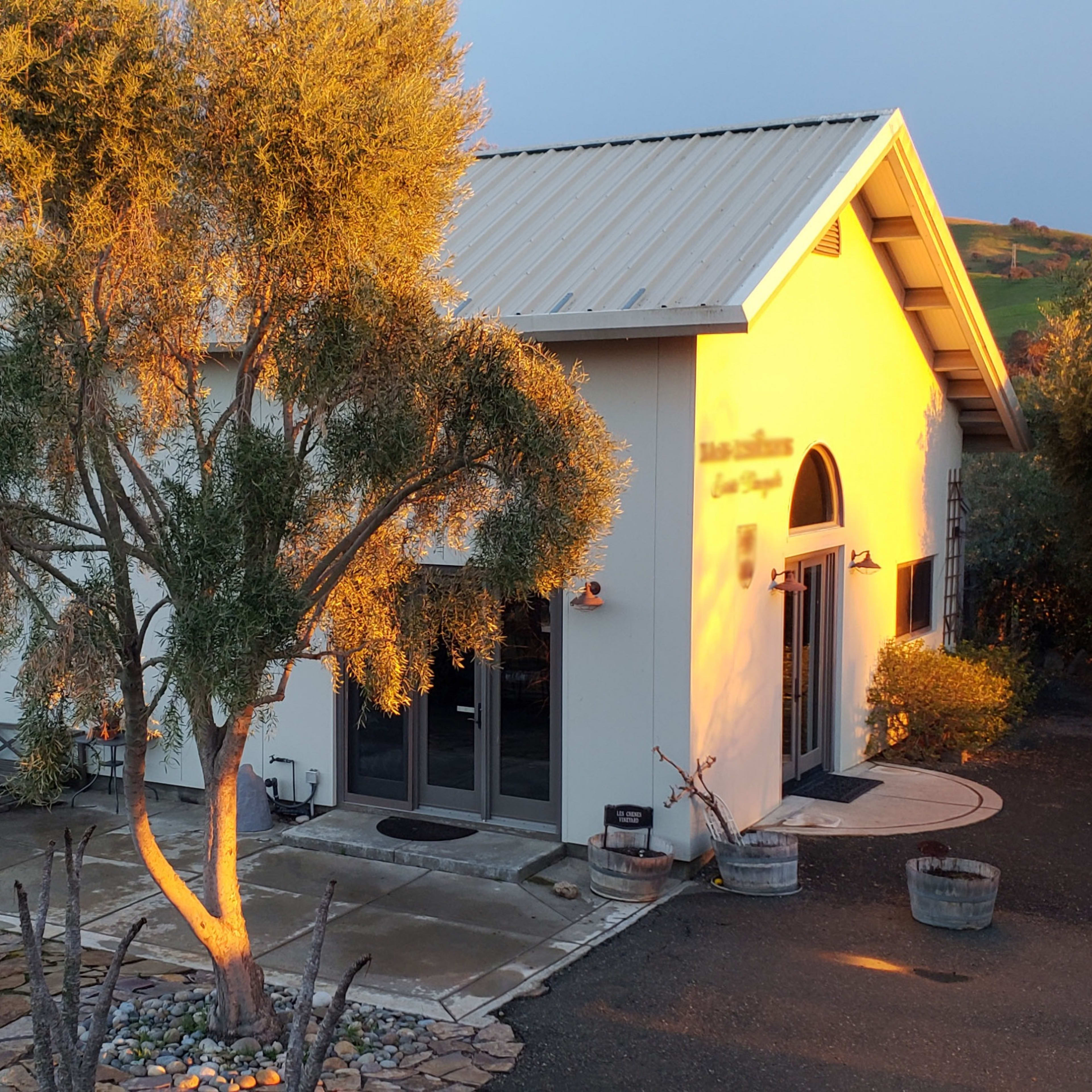 A modern building surrounded by greenery and vineyards, with a stone pathway leading to the entrance.