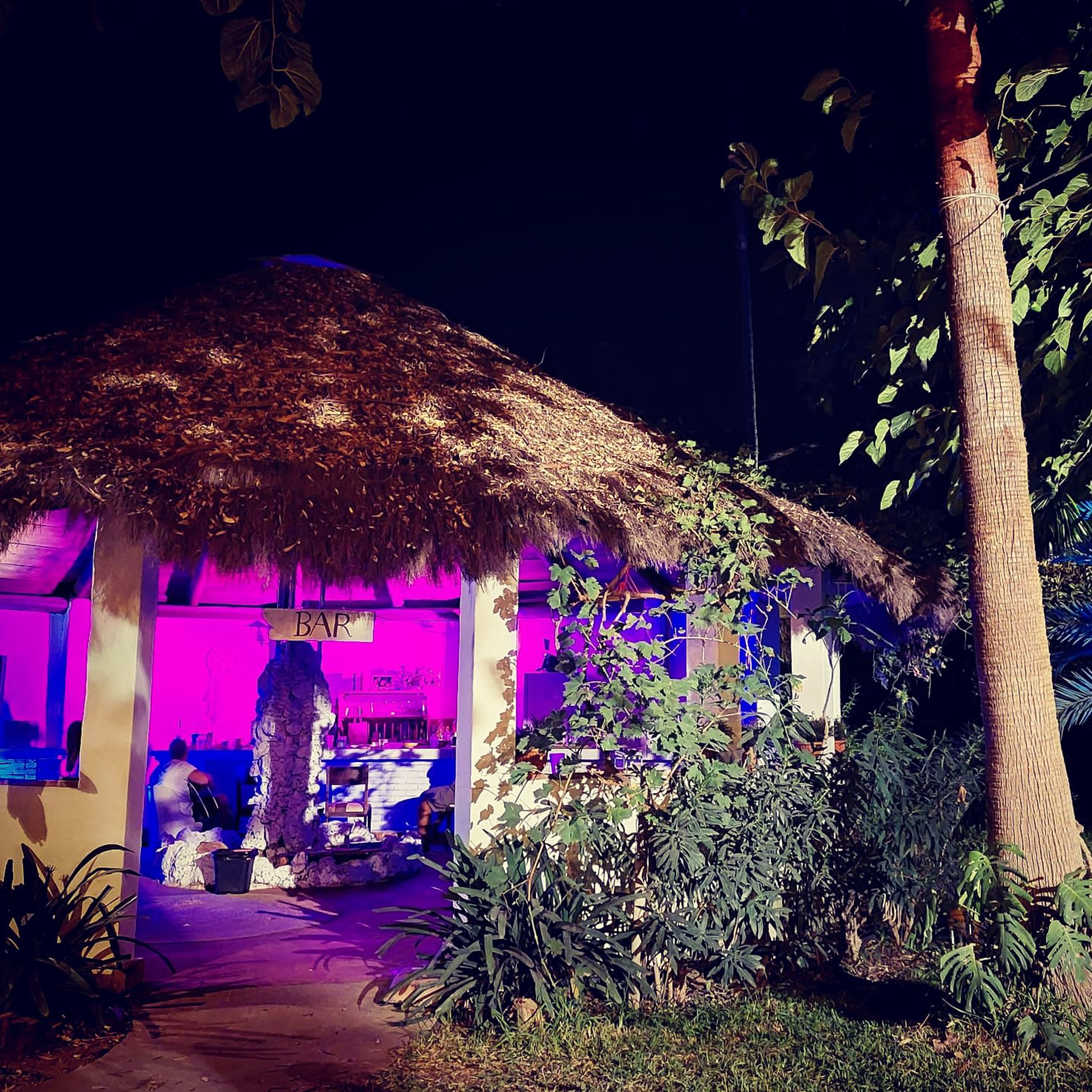 A thatched-roof bar surrounded by tropical plants is illuminated by colorful lights at night.