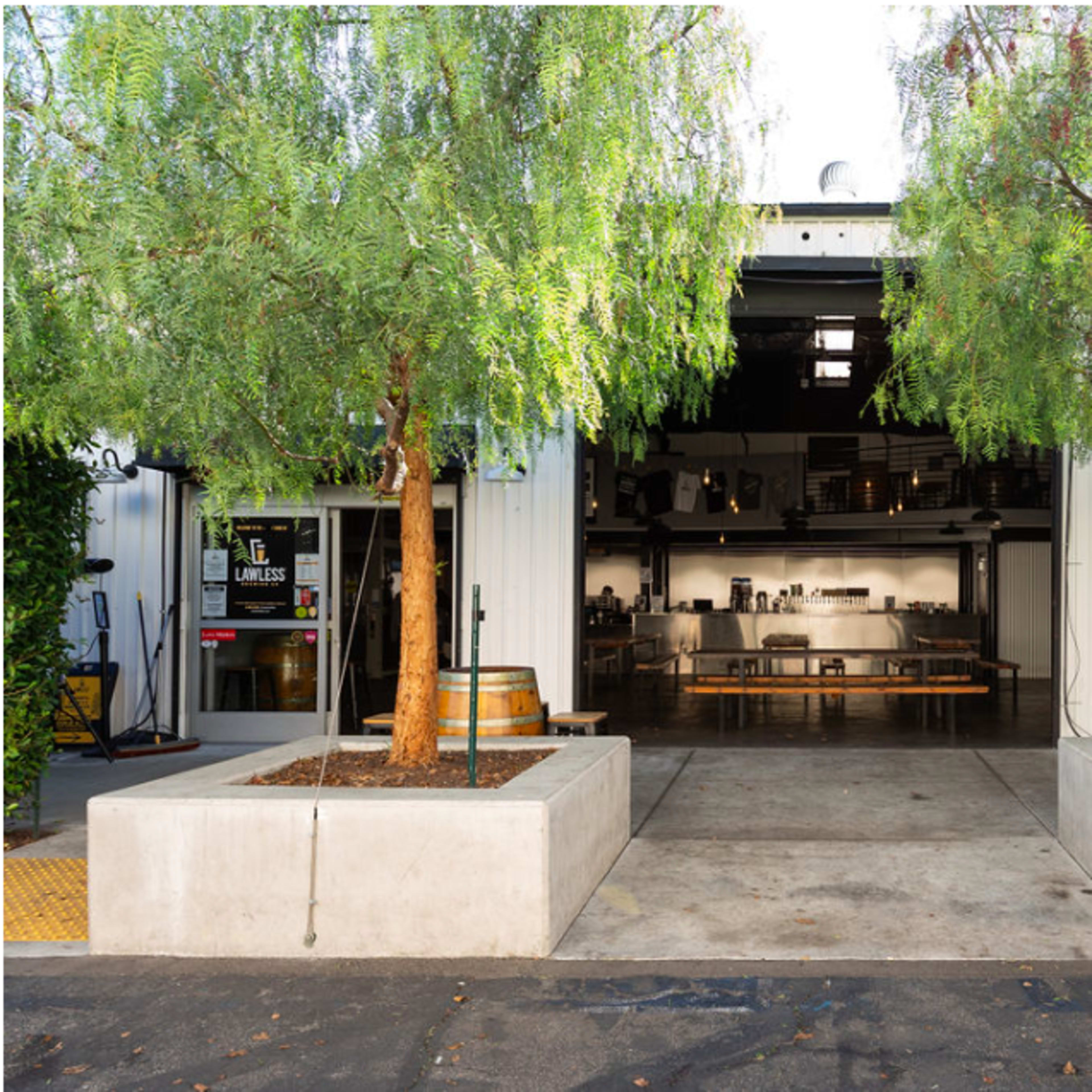 The entrance of a modern industrial-style building featuring two trees on either side of a concrete pathway, leading into a spacious interior with a kitchen and dining area visible.