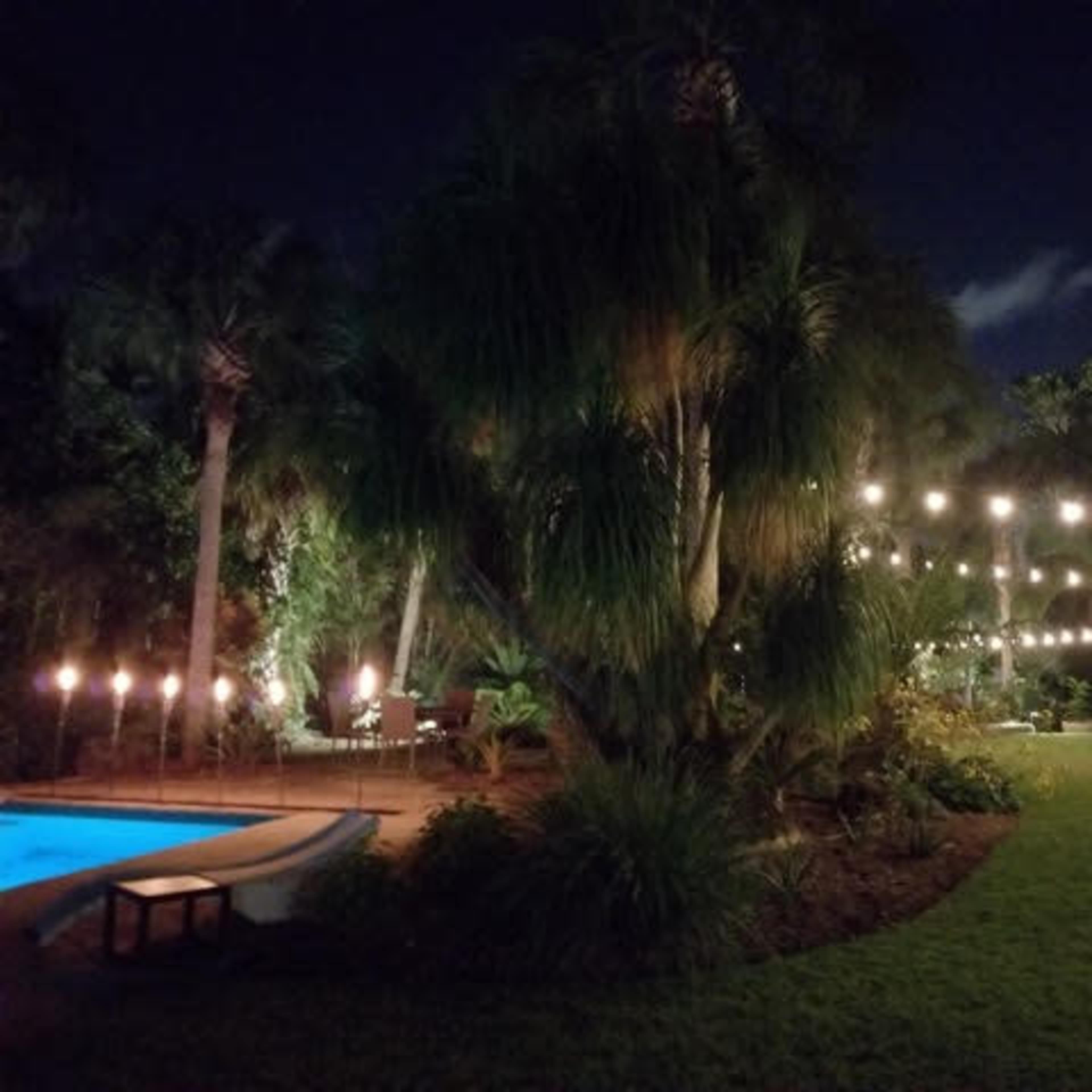 A well-lit garden at night features a swimming pool, string lights overhead, and tropical plants surrounding a grassy area.