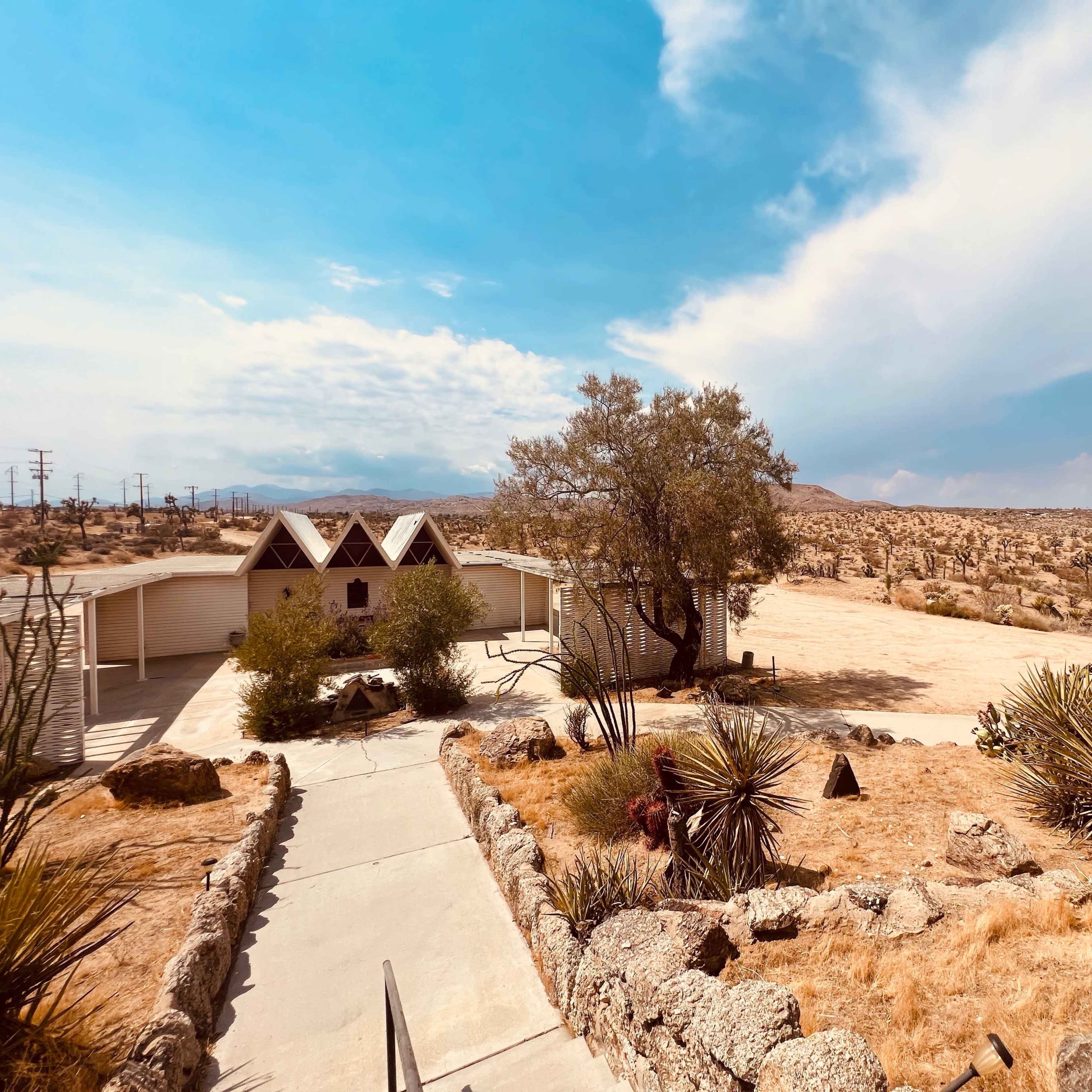LOTUS  MEDITATION Image in , Joshua Tree, CA