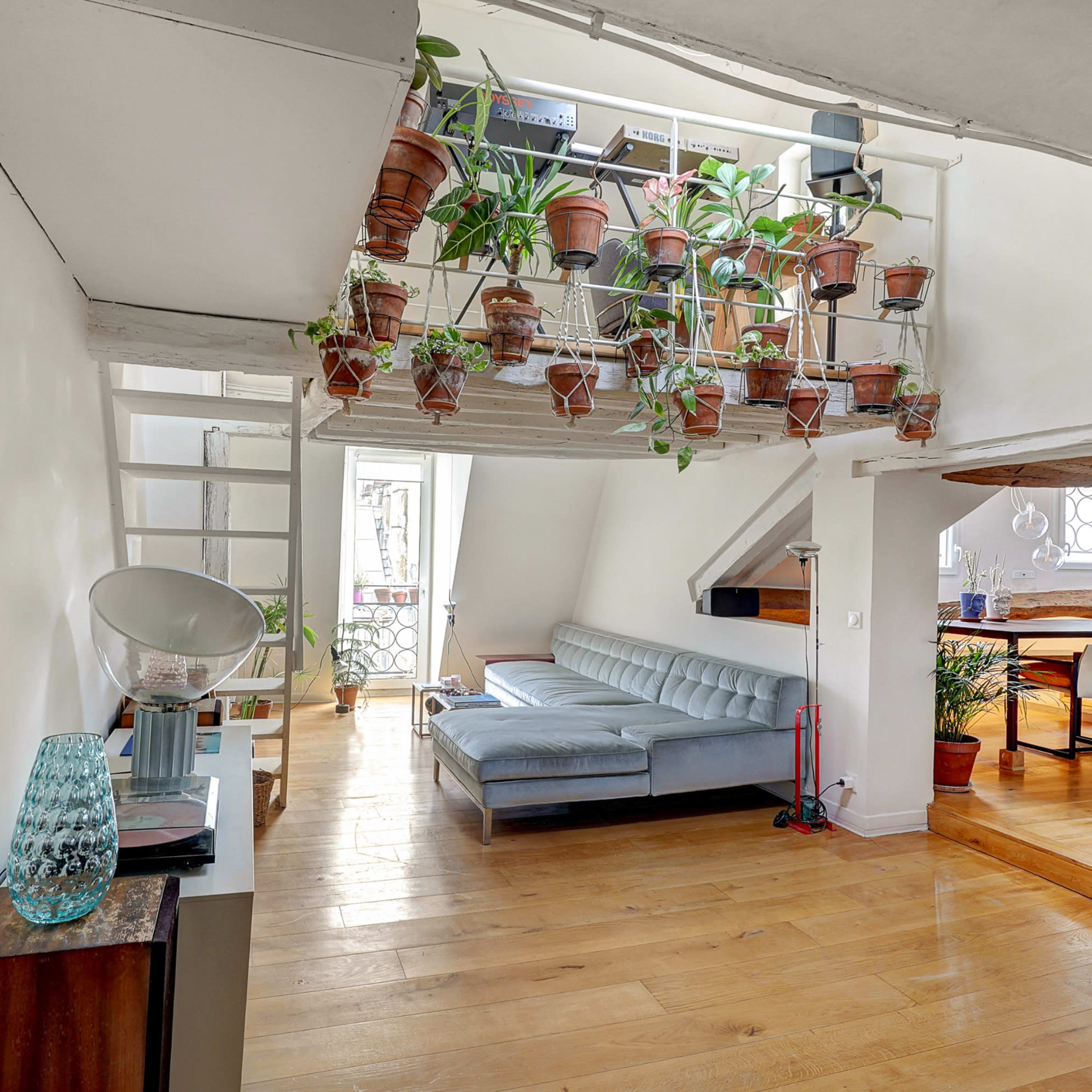 A bright, open-plan living space with a gray sofa, wooden flooring, and numerous potted plants hanging from a shelf above.