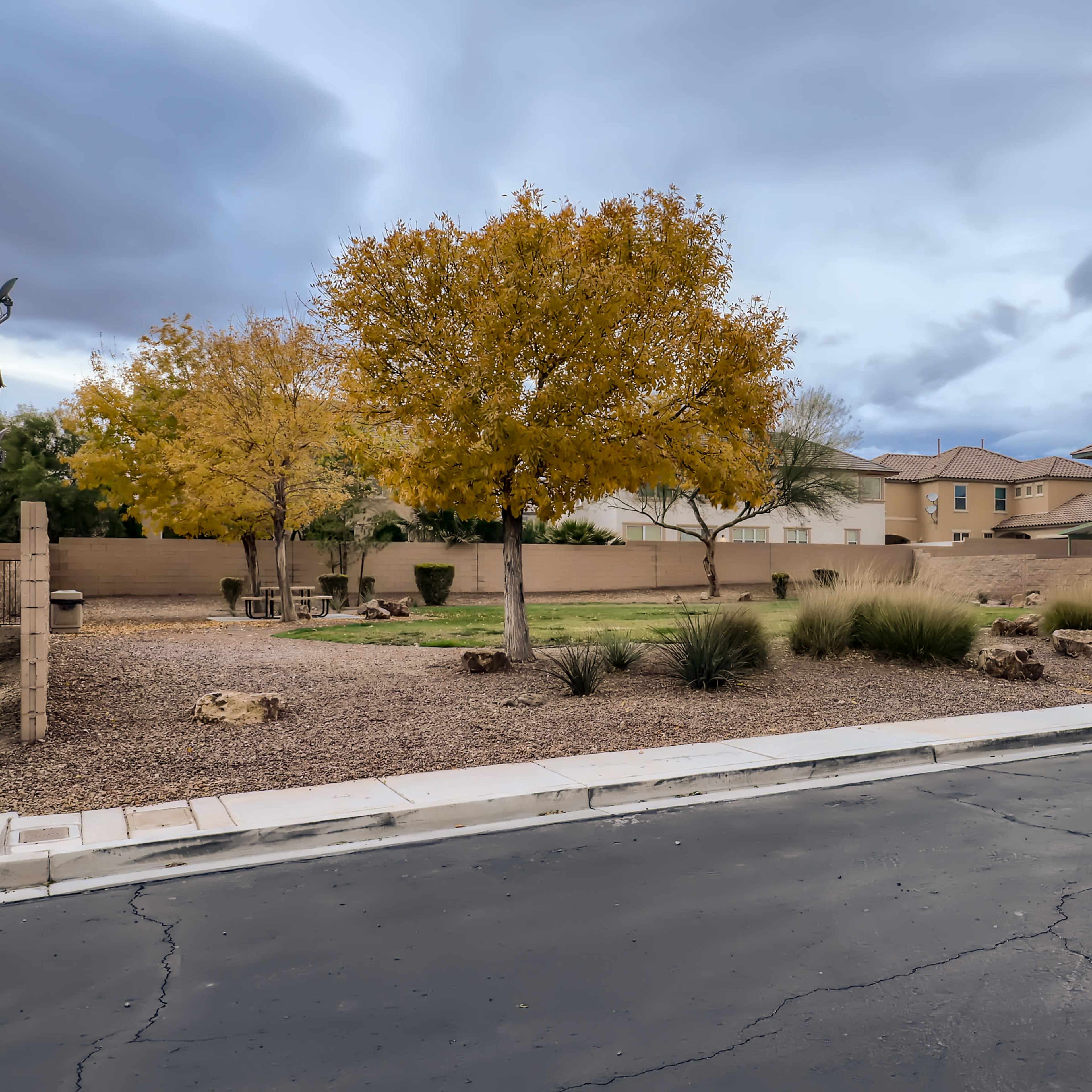 A quiet neighborhood street features homes on either side, with a landscaped area containing yellow-leaved trees and low shrubbery.