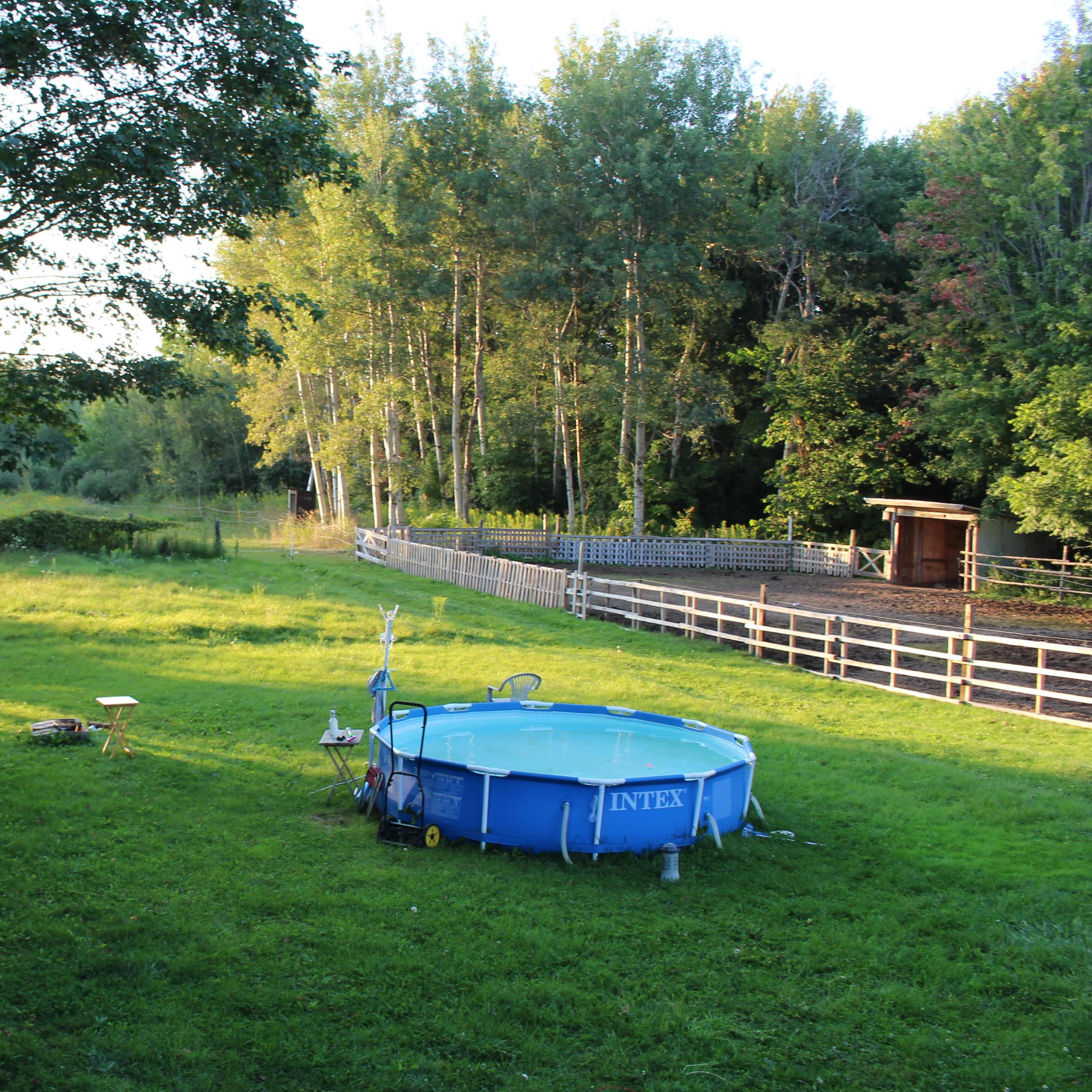 A round inflatable pool and a horse-drawn carriage are situated on a grassy area near a wooden fence and trees.