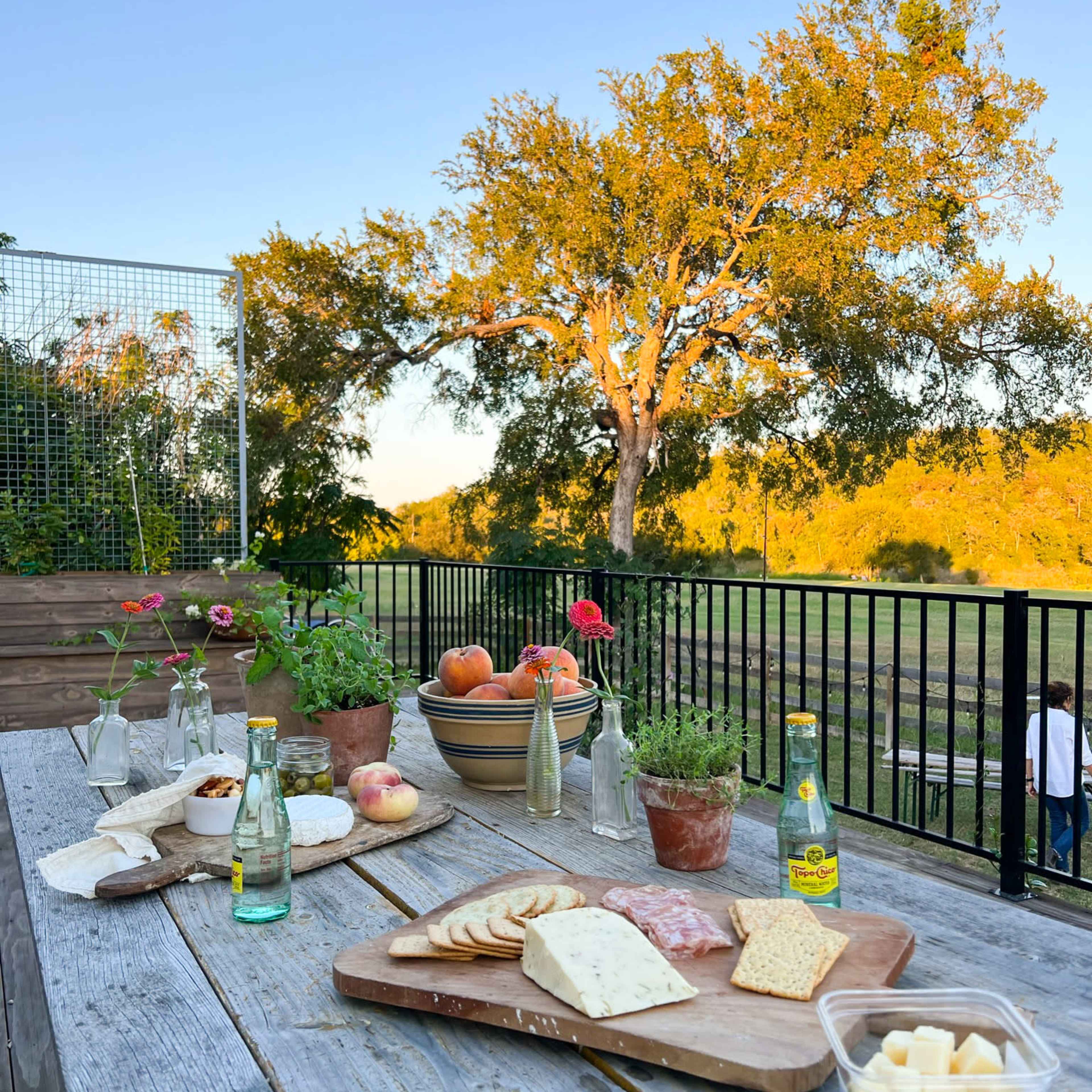 A wooden table displays an assortment of cheeses, cured meats, bread, and beverages, set against a backdrop of a large tree and a clear sky.